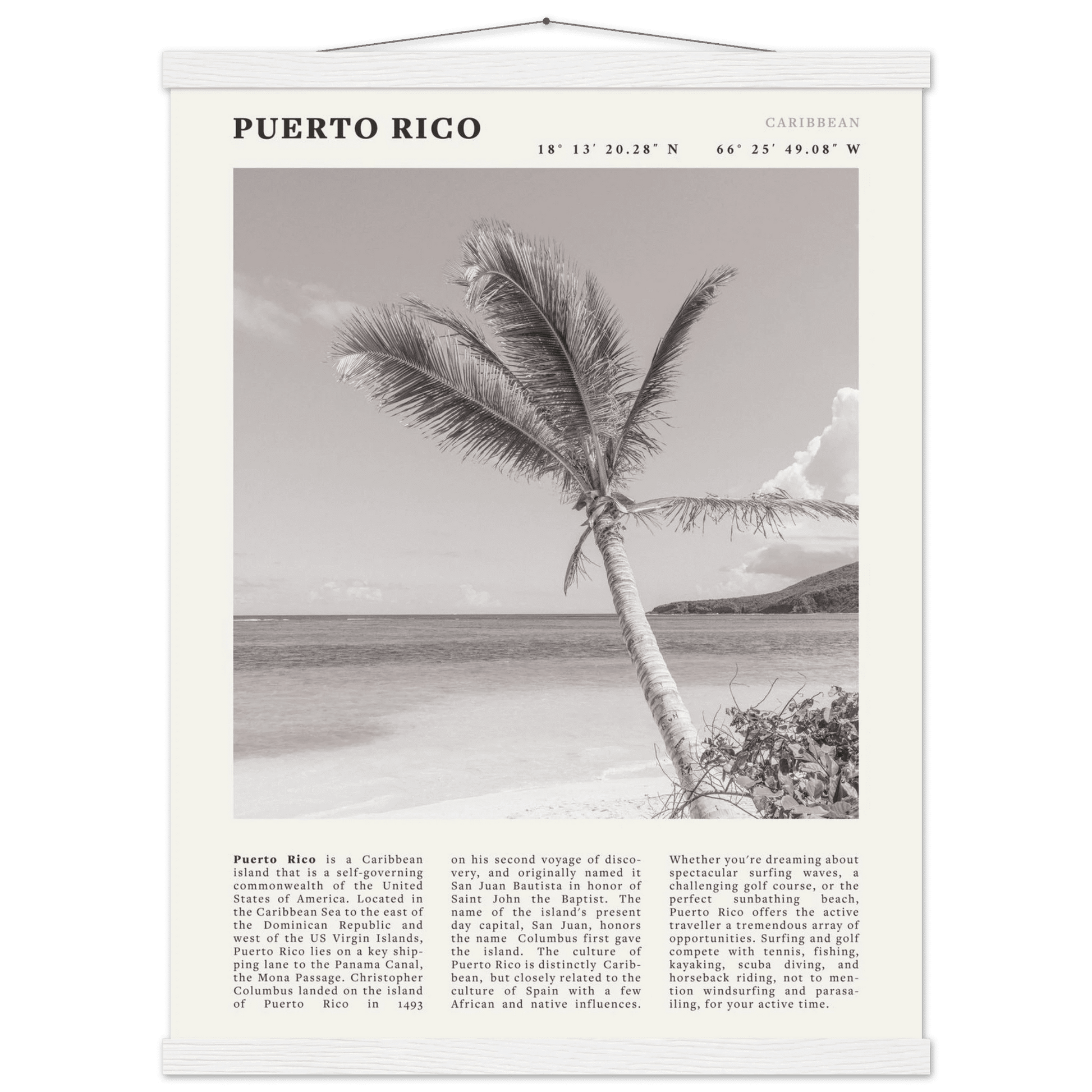 Puerto Rico Poster Black and White – Vintage Caribbean Palm Beach Print (Digital & Printed Options) - Evergreen Posters