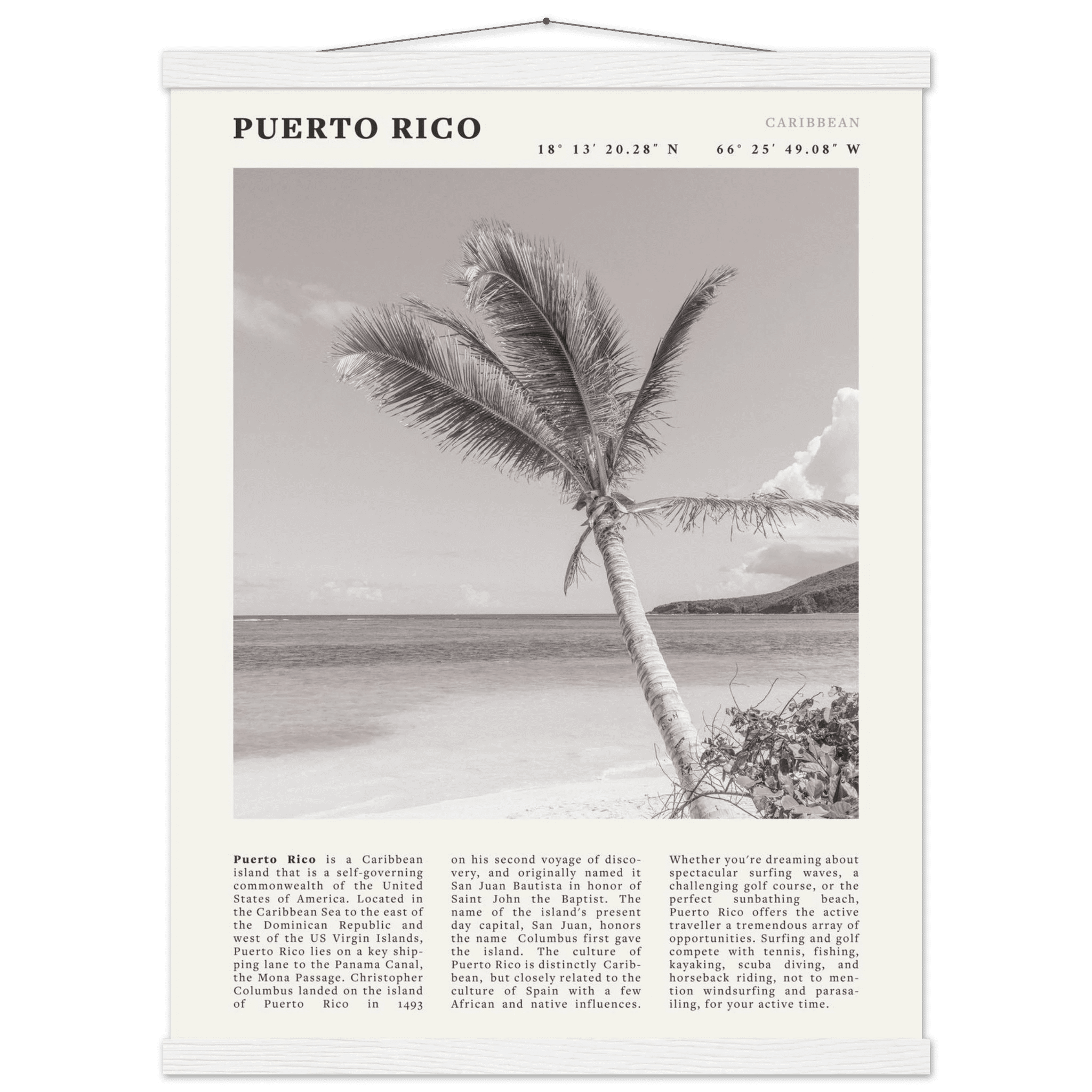 Puerto Rico Poster Black and White – Vintage Caribbean Palm Beach Print (Digital & Printed Options) - Evergreen Posters