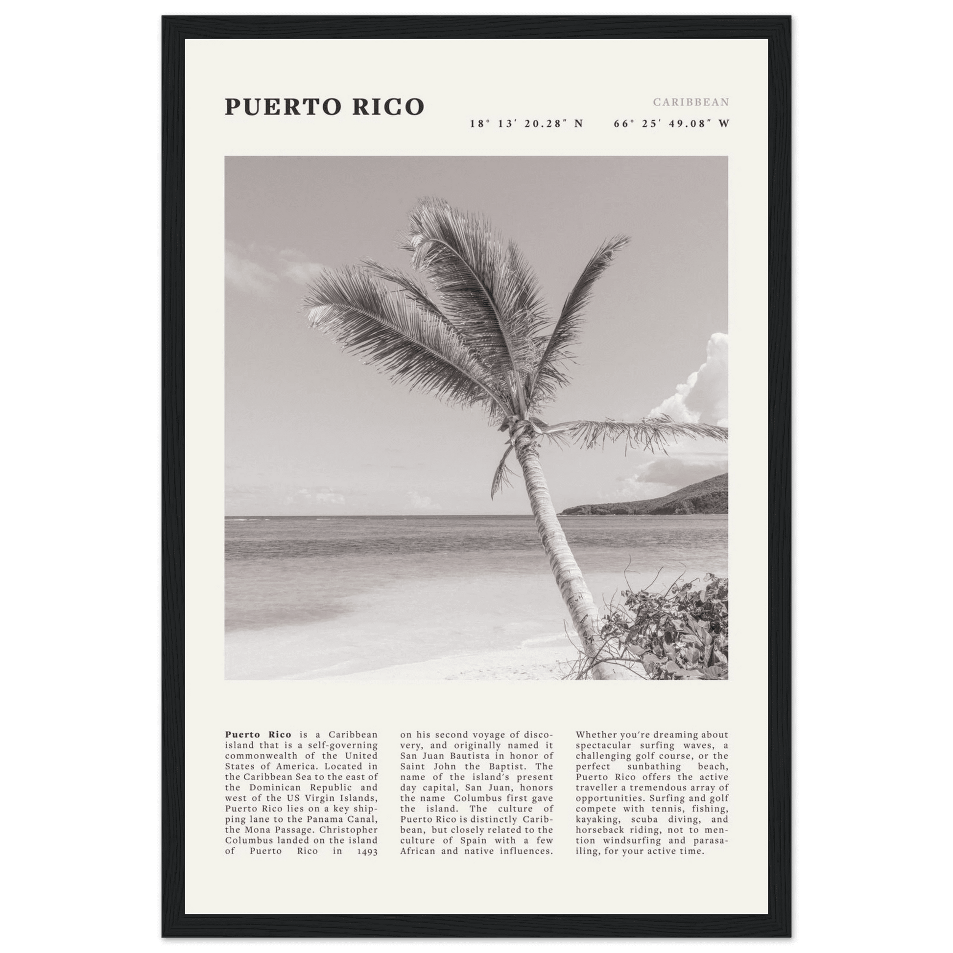 Puerto Rico Poster Black and White – Vintage Caribbean Palm Beach Print (Digital & Printed Options) - Evergreen Posters