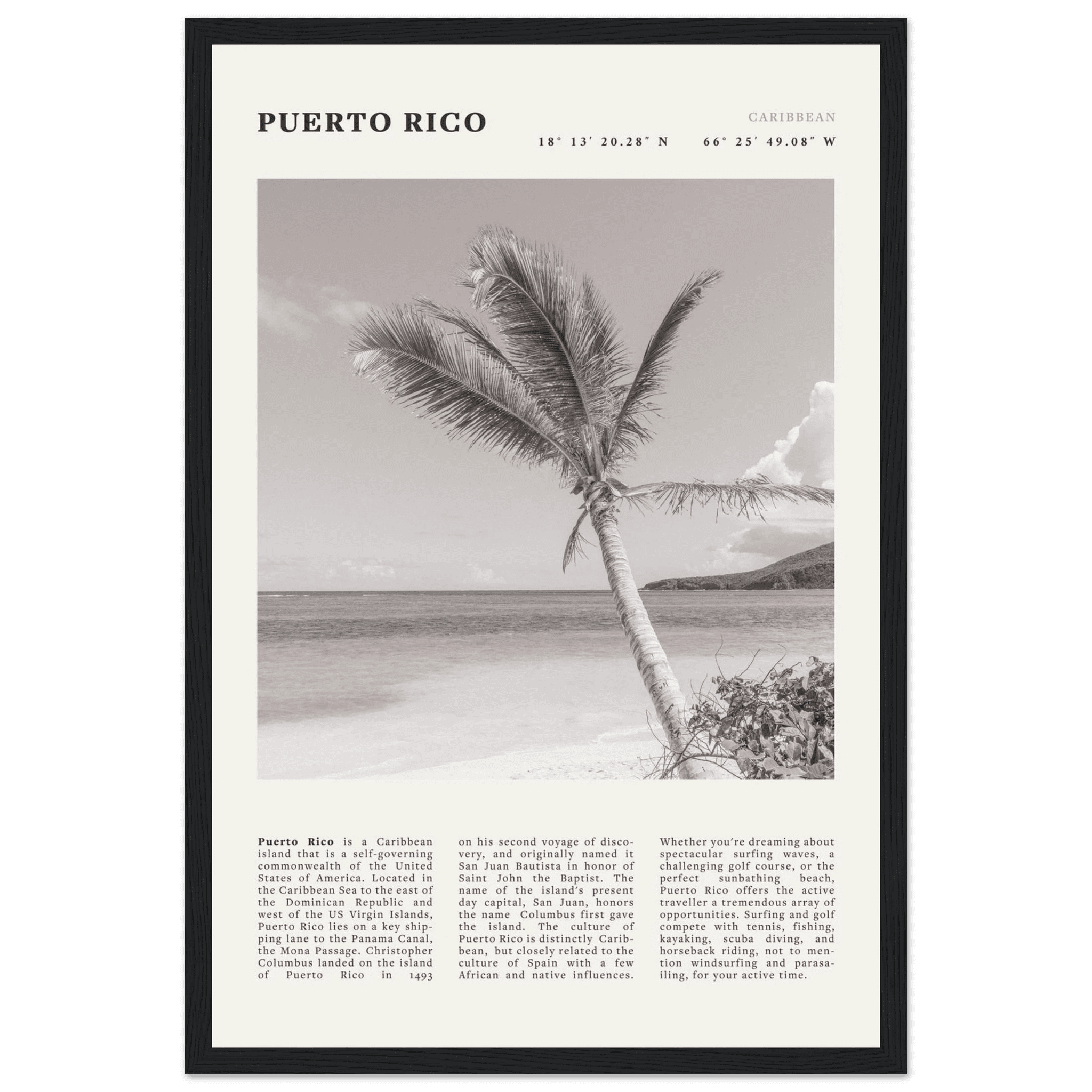 Puerto Rico Poster Black and White – Vintage Caribbean Palm Beach Print (Digital & Printed Options) - Evergreen Posters