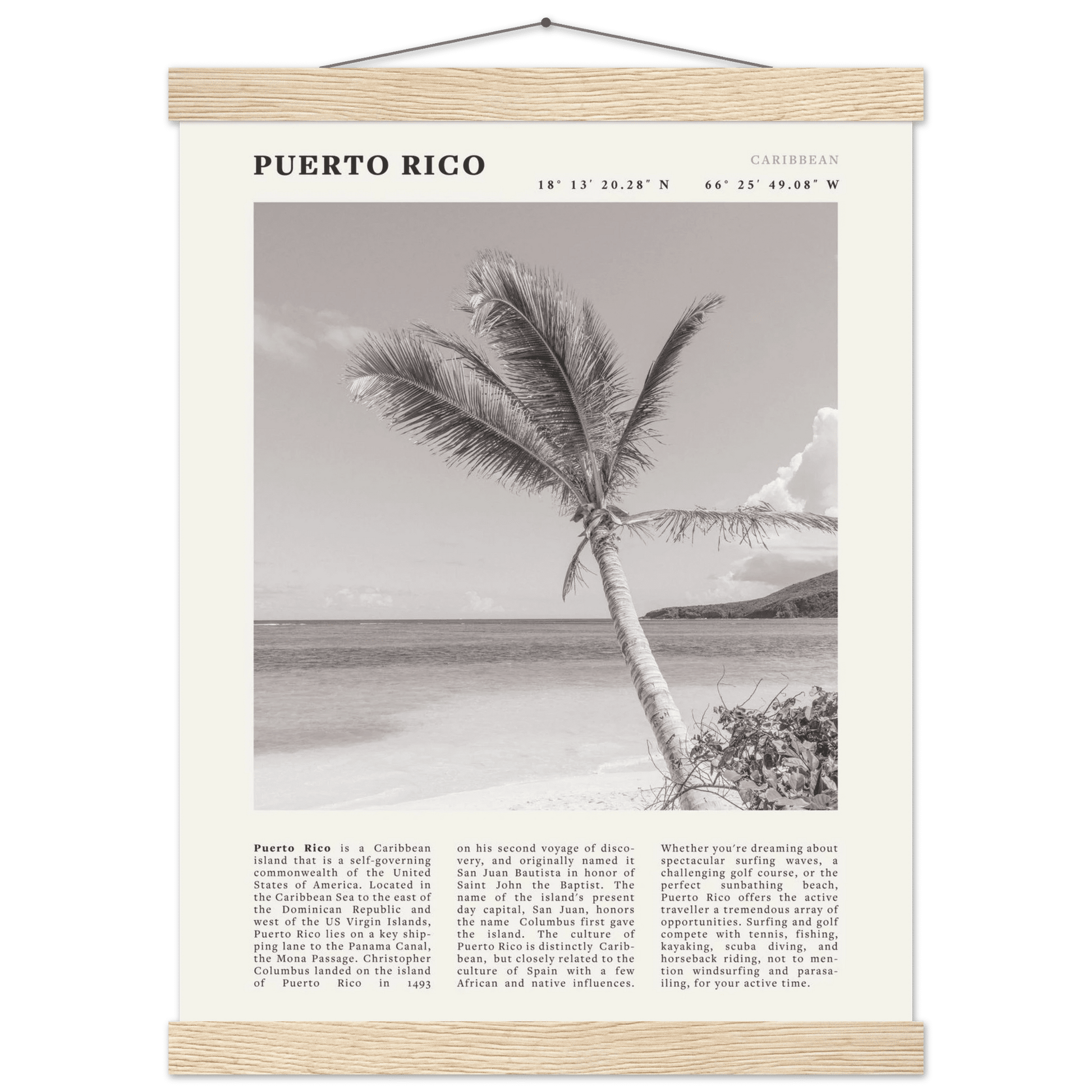 Puerto Rico Poster Black and White – Vintage Caribbean Palm Beach Print (Digital & Printed Options) - Evergreen Posters