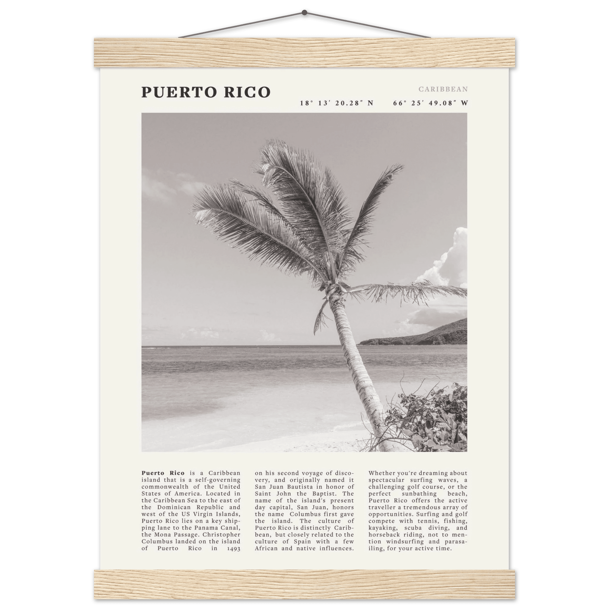 Puerto Rico Poster Black and White – Vintage Caribbean Palm Beach Print (Digital & Printed Options) - Evergreen Posters