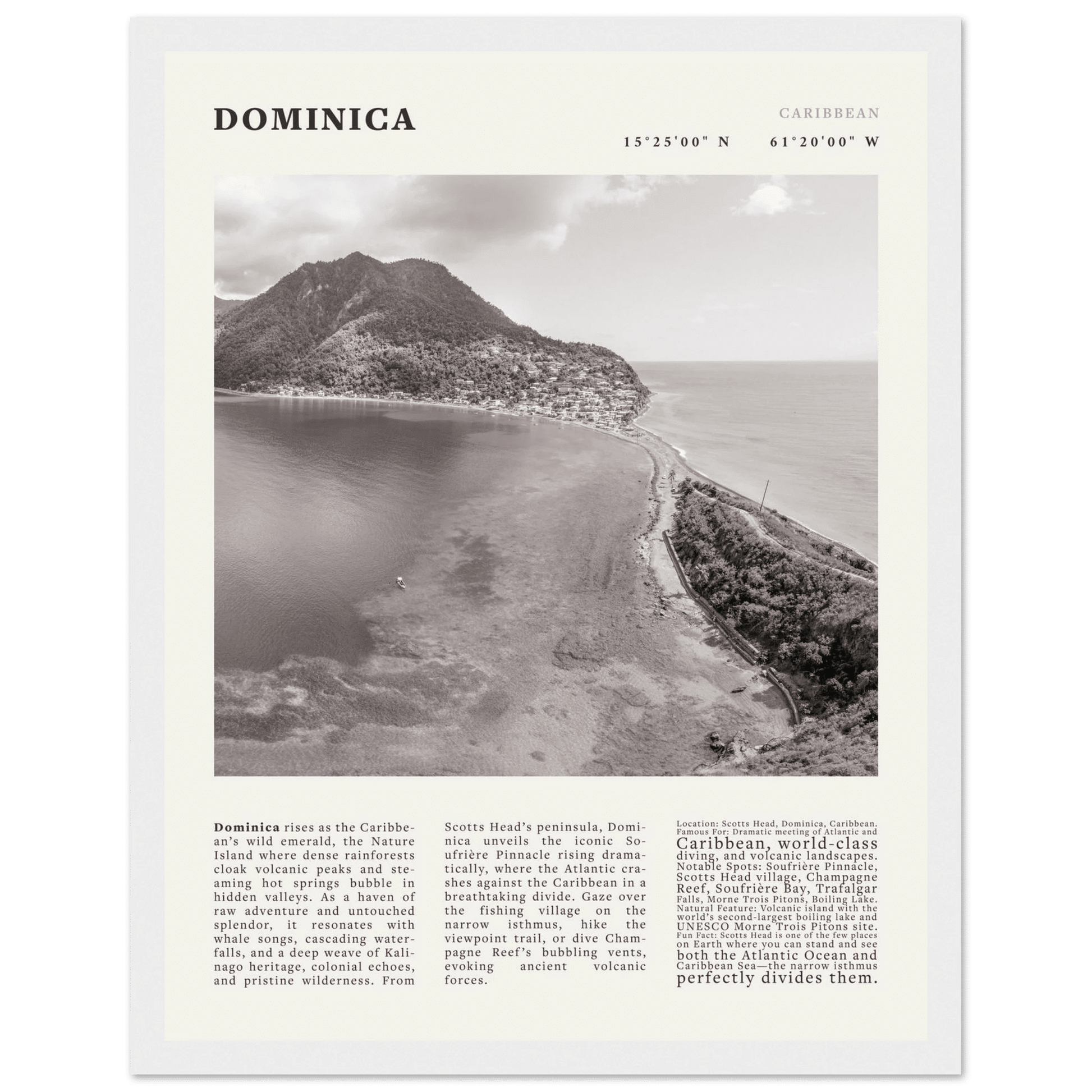 Dominica Poster Black and White – Vintage Caribbean Rainforest Island Print (Digital & Printed Options) - Evergreen Posters