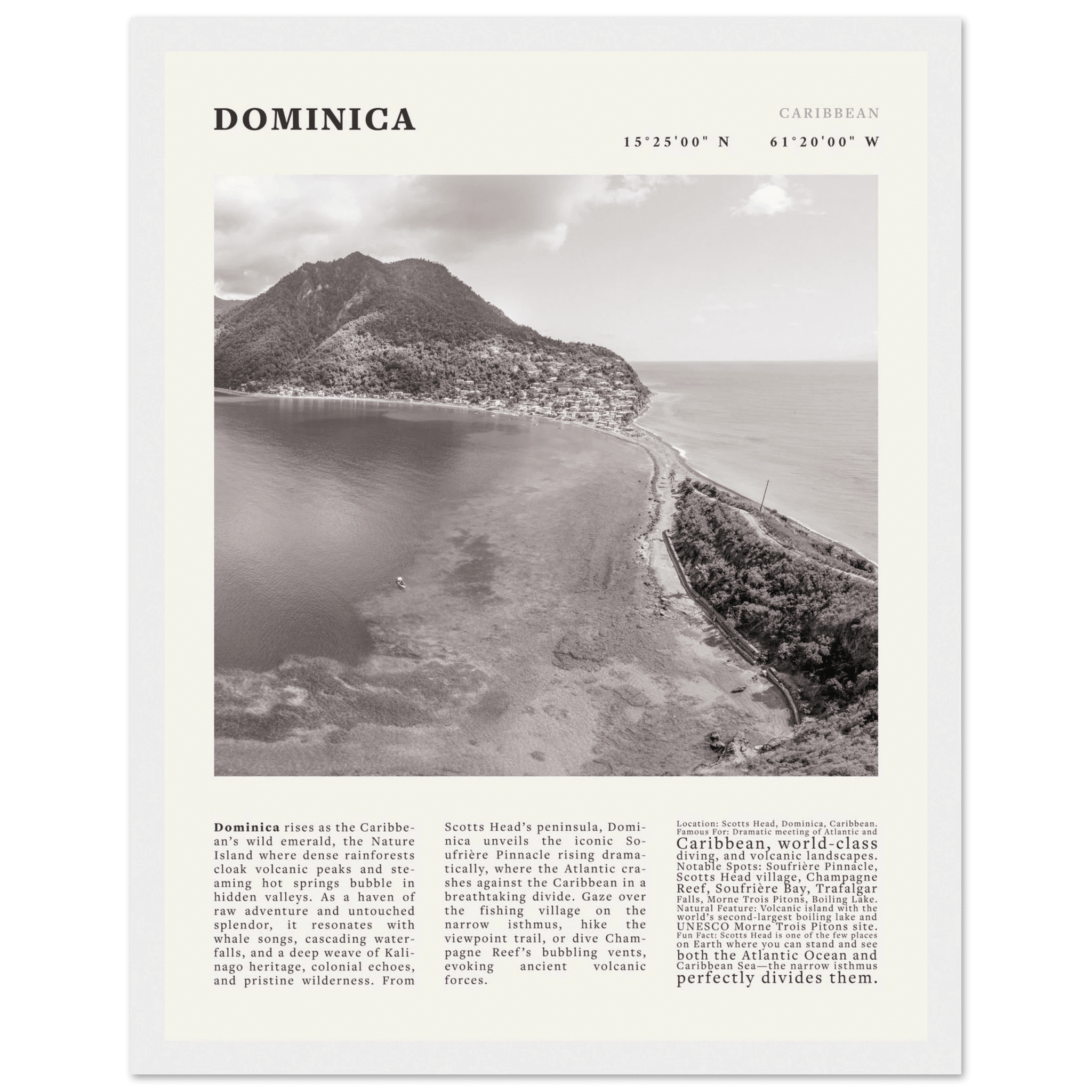 Dominica Poster Black and White – Vintage Caribbean Rainforest Island Print (Digital & Printed Options) - Evergreen Posters