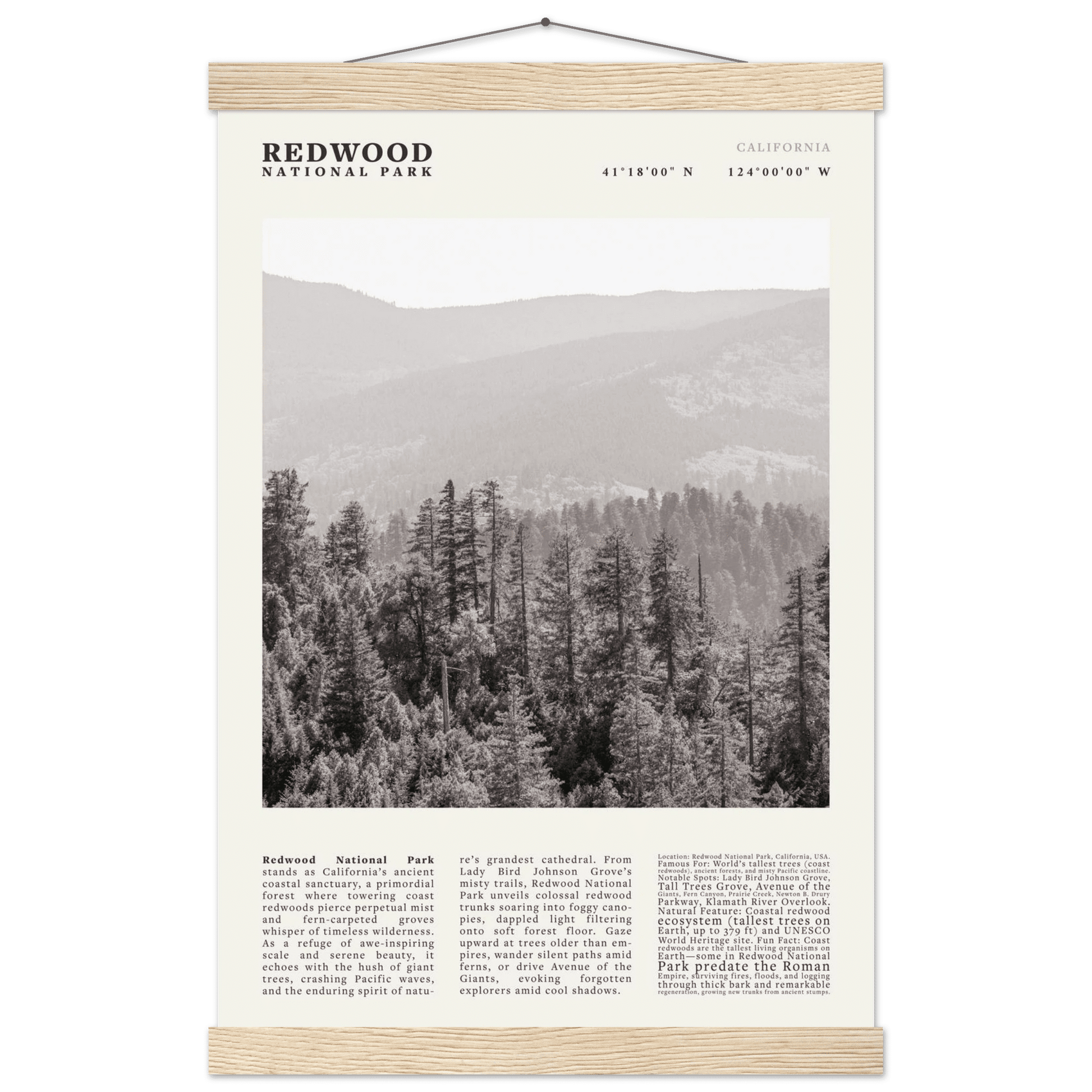 Redwood National Park Poster Black and White – Vintage Foggy Redwood Forest Print - Evergreen Posters