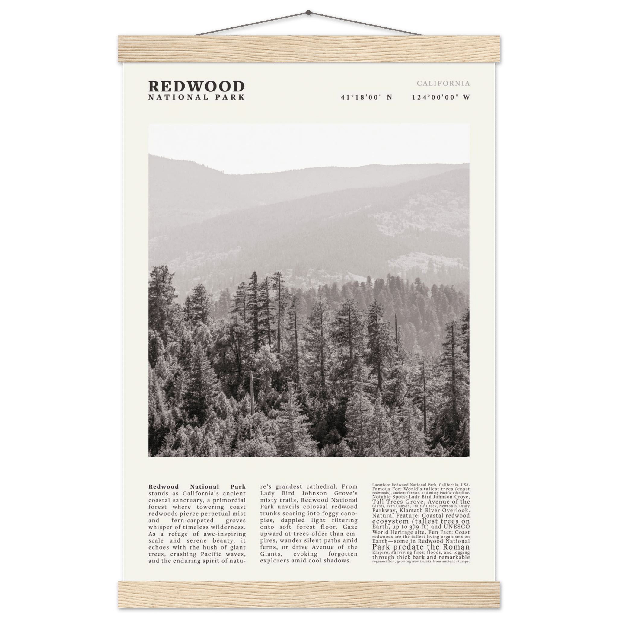 Redwood National Park Poster Black and White – Vintage Foggy Redwood Forest Print - Evergreen Posters
