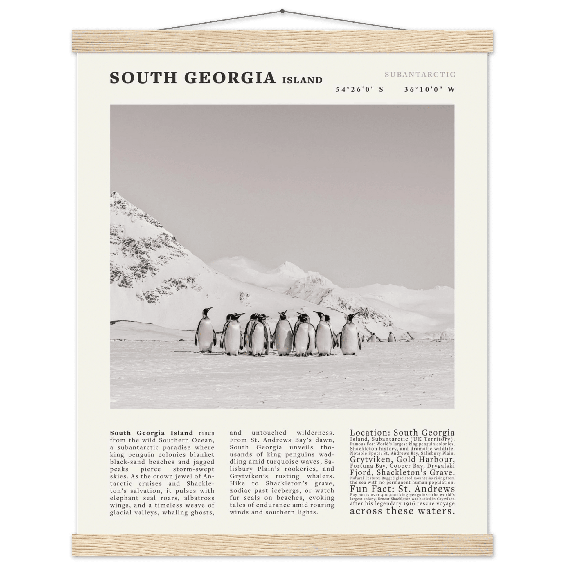 South Georgia Island Black and White Vintage Poster - Evergreen Posters