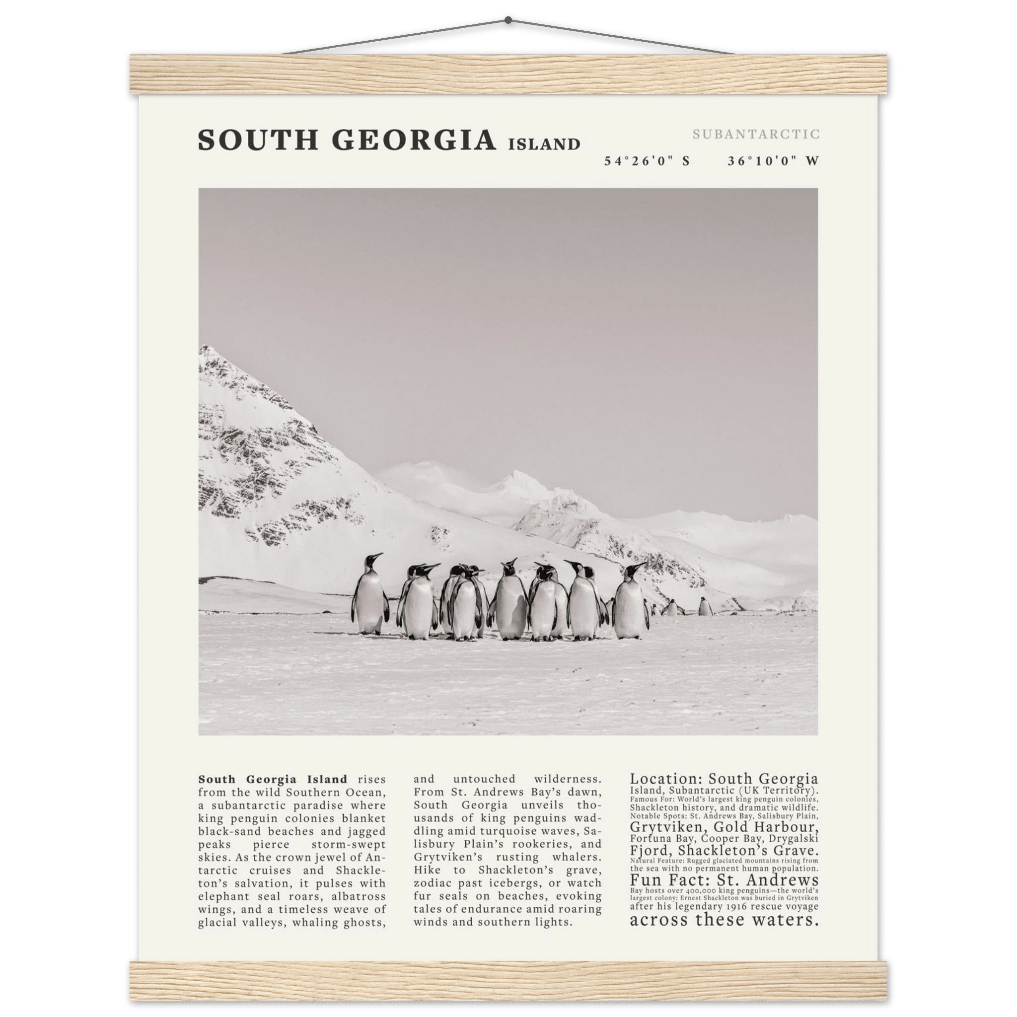 South Georgia Island Black and White Vintage Poster - Evergreen Posters