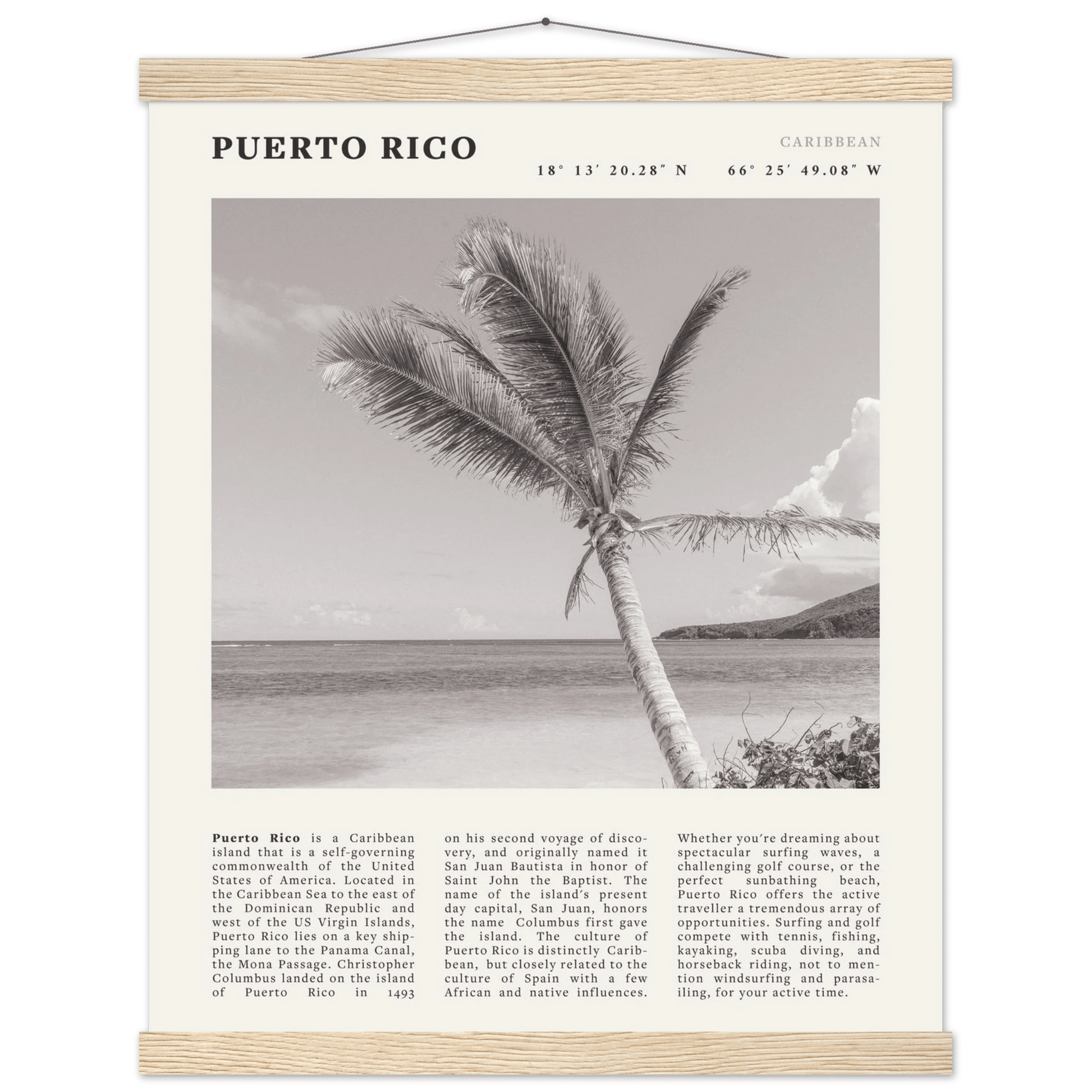 Puerto Rico Poster Black and White – Vintage Caribbean Palm Beach Print (Digital & Printed Options) - Evergreen Posters