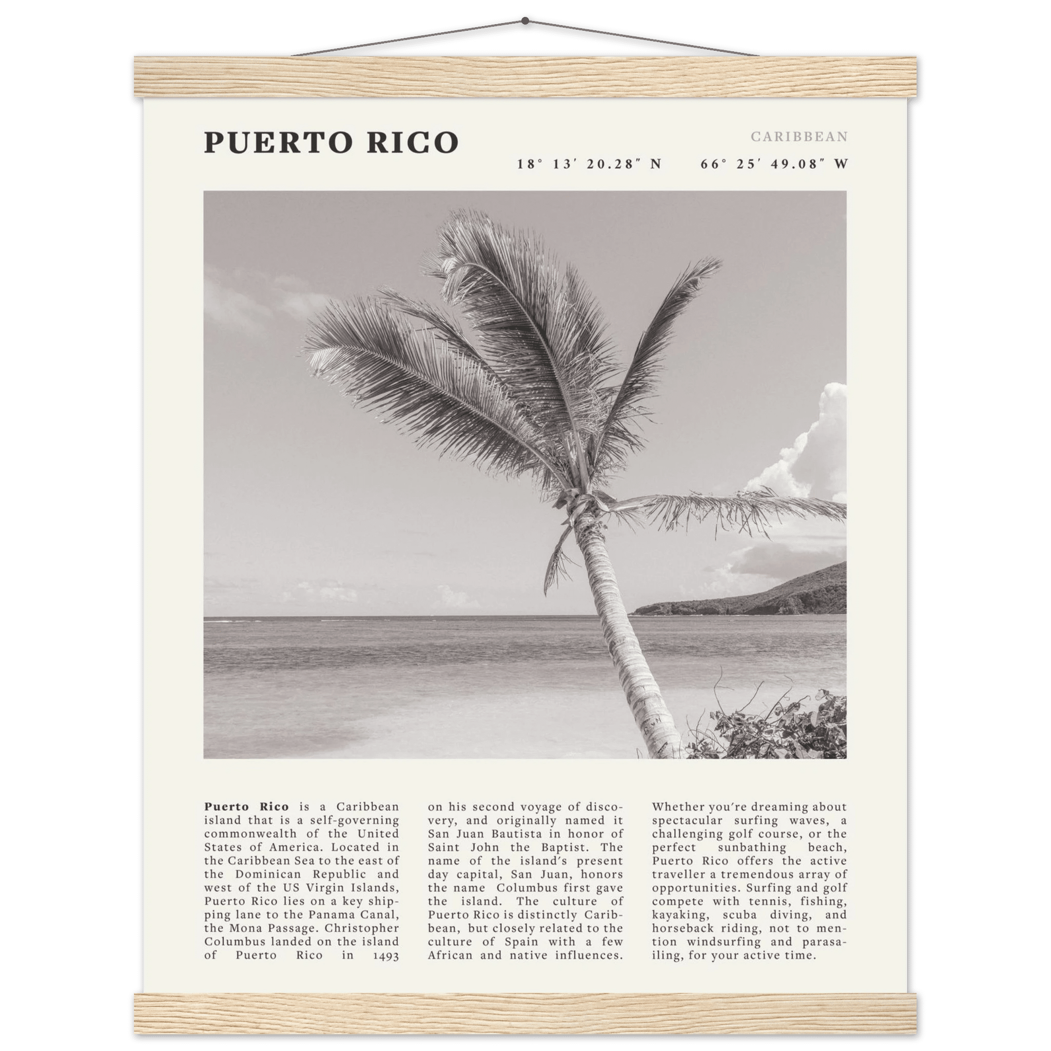 Puerto Rico Poster Black and White – Vintage Caribbean Palm Beach Print (Digital & Printed Options) - Evergreen Posters