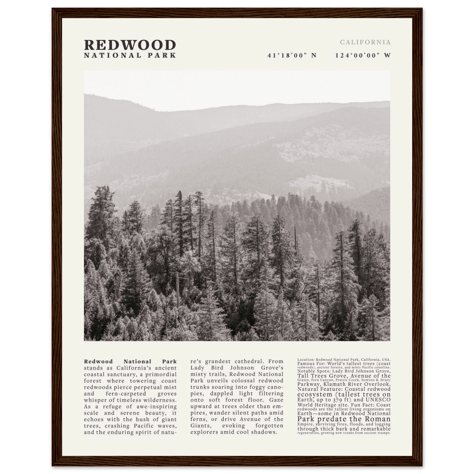 Redwood National Park Poster Black and White – Vintage Foggy Redwood Forest Print - Evergreen Posters