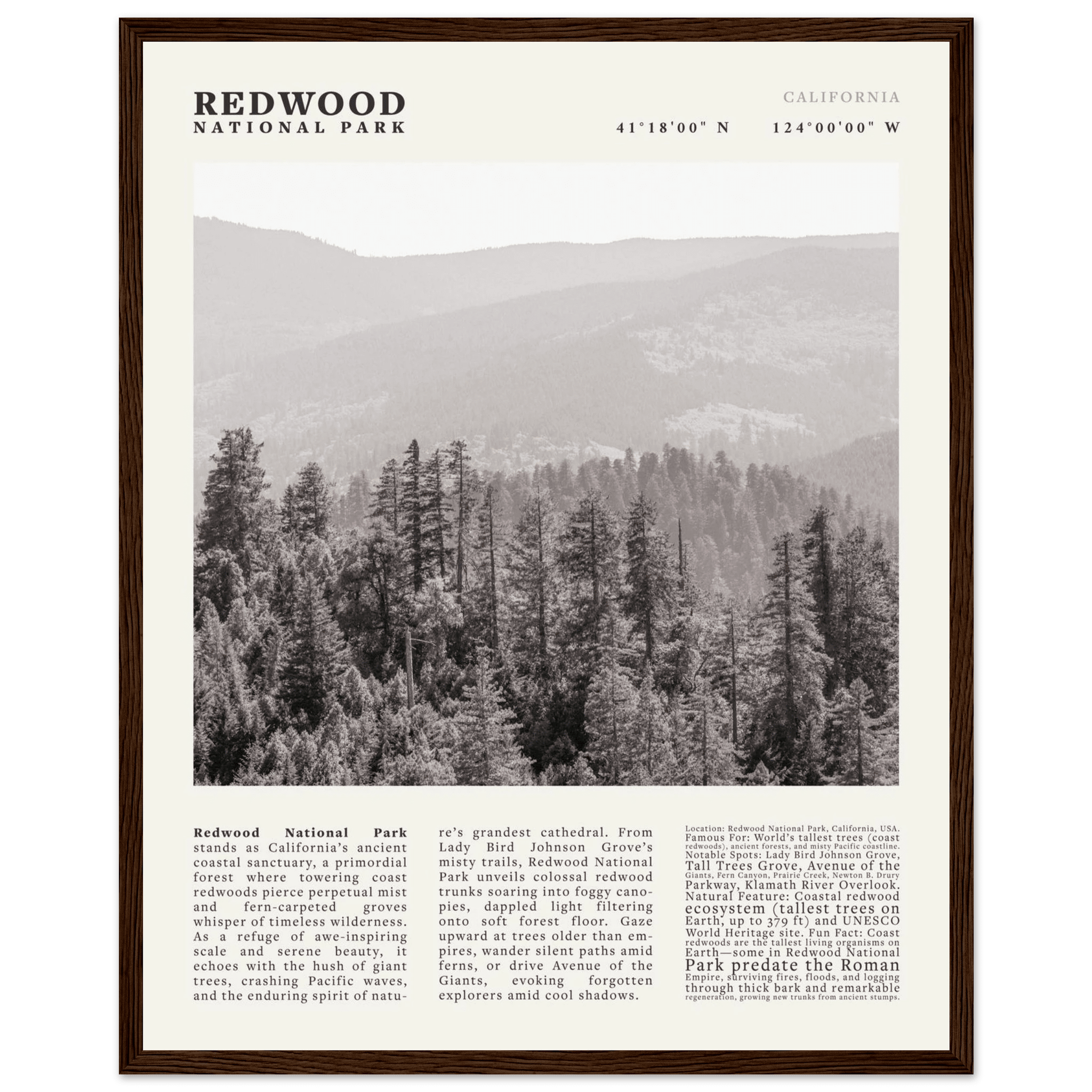 Redwood National Park Poster Black and White – Vintage Foggy Redwood Forest Print - Evergreen Posters