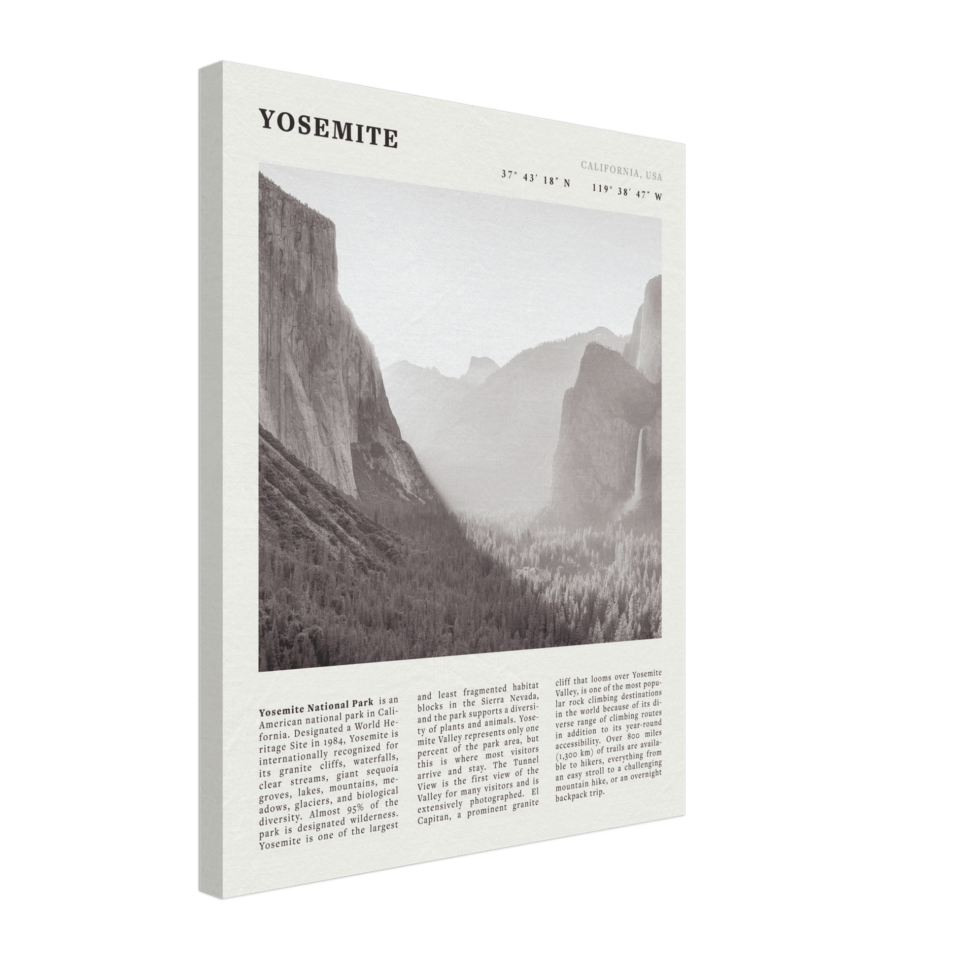 Yosemite Poster | Black & White National Park Wall Art | California Nature Print - Evergreen Posters