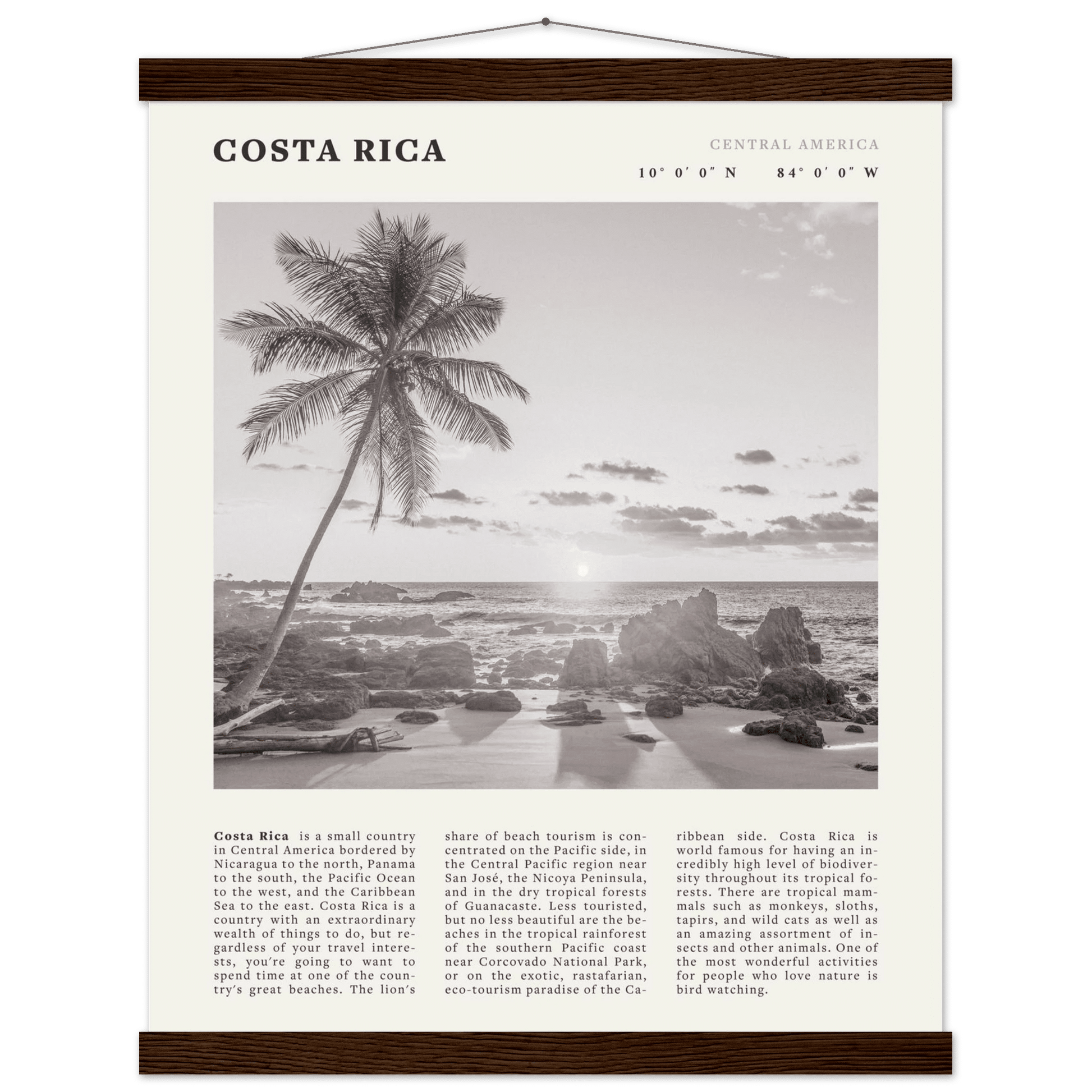 Costa Rica Poster | Black & White Palm Tree Beach Wall Art | Travel Print Decor - Evergreen Posters