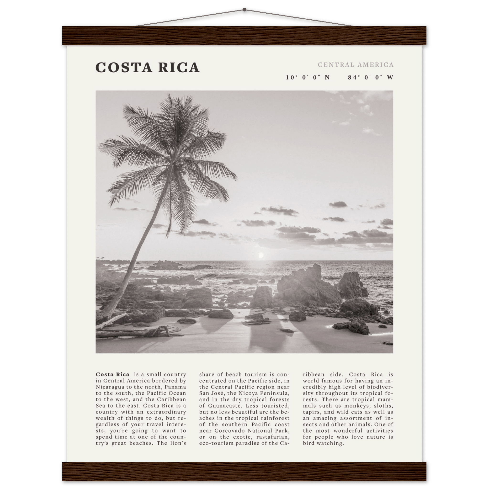 Costa Rica Poster | Black & White Palm Tree Beach Wall Art | Travel Print Decor - Evergreen Posters