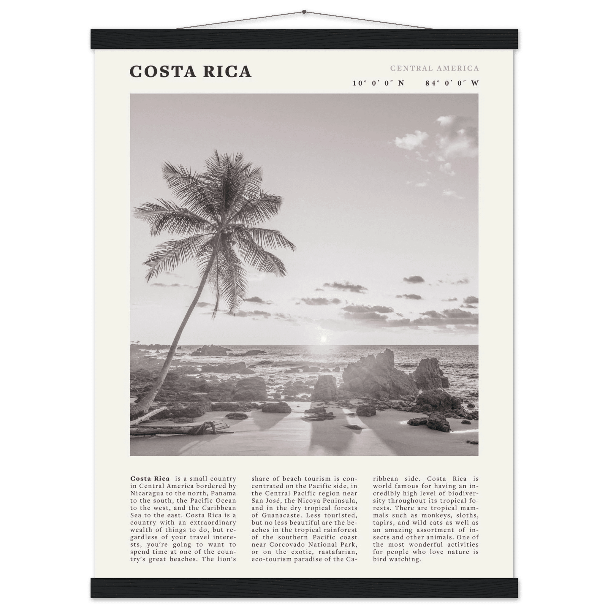 Costa Rica Poster | Black & White Palm Tree Beach Wall Art | Travel Print Decor - Evergreen Posters