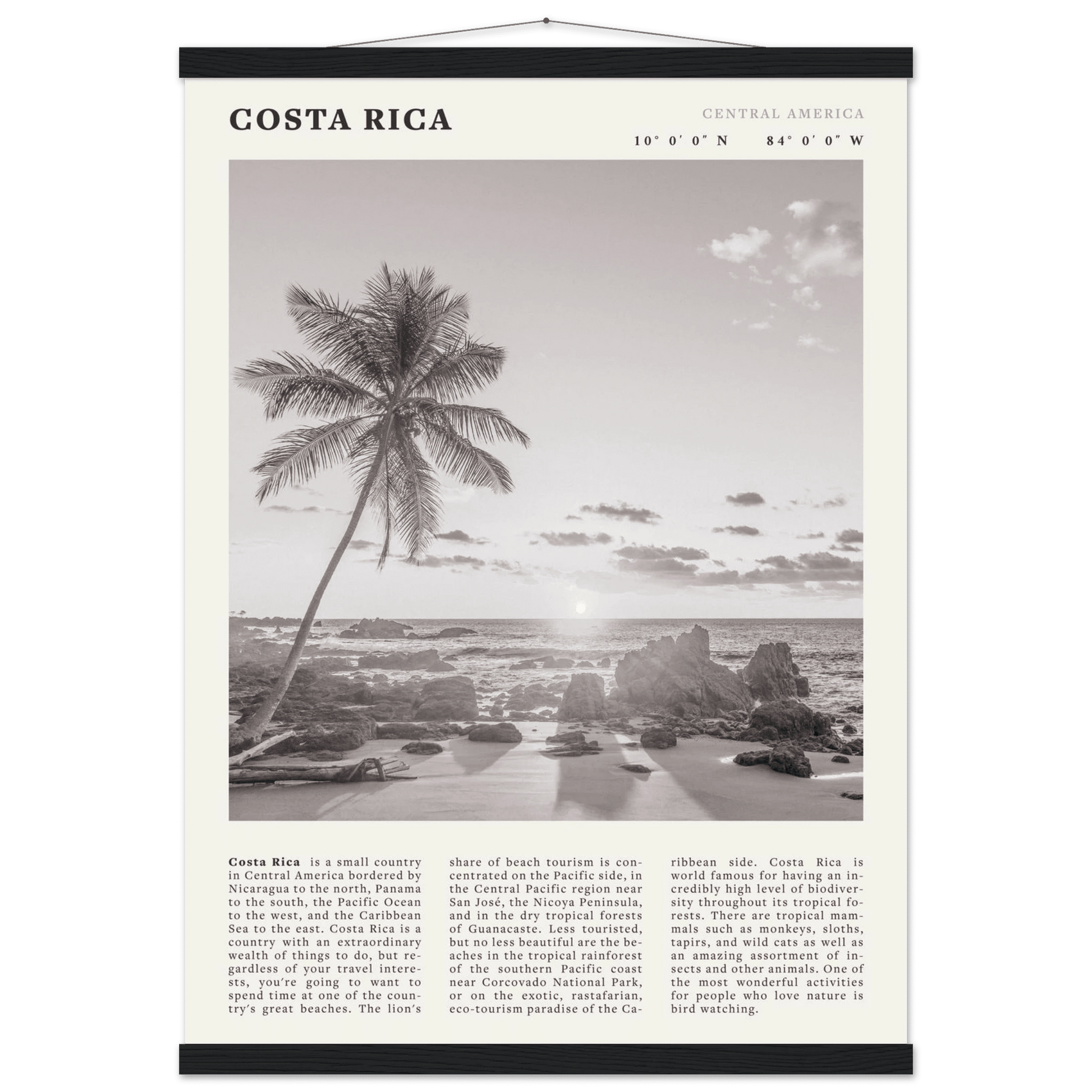 Costa Rica Poster | Black & White Palm Tree Beach Wall Art | Travel Print Decor - Evergreen Posters