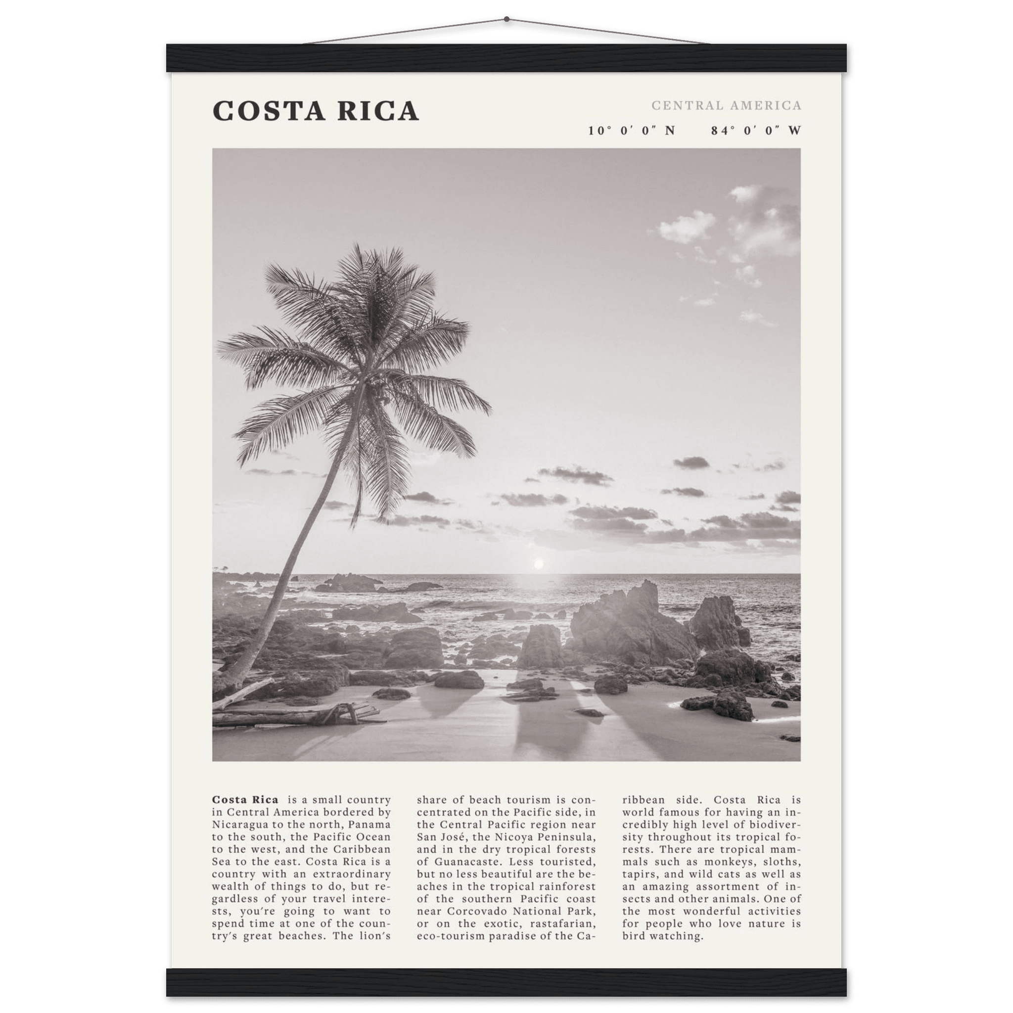 Costa Rica Poster | Black & White Palm Tree Beach Wall Art | Travel Print Decor - Evergreen Posters