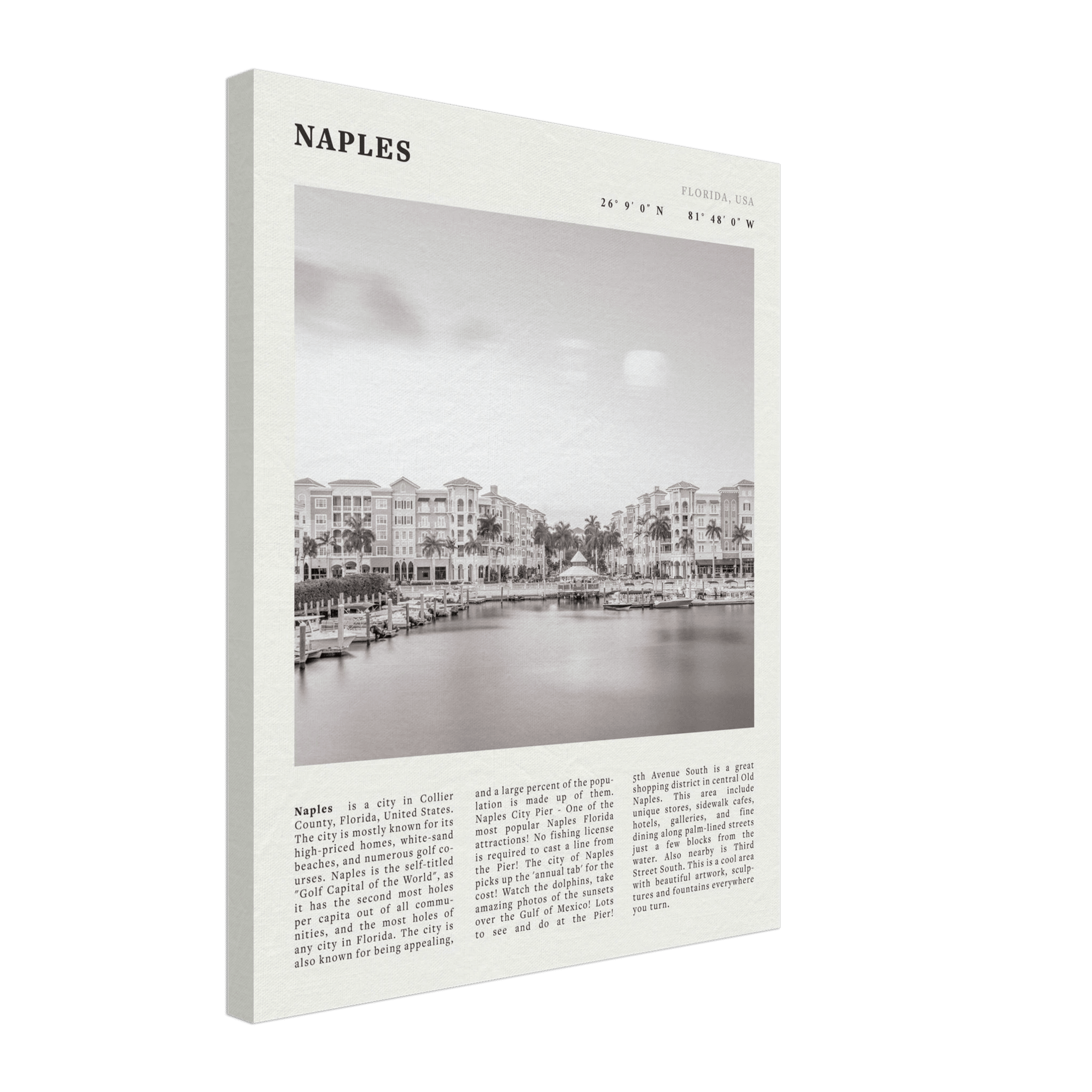 Naples Florida Poster | Black & White Gulf Coast Wall Art | FL Travel Print - Evergreen Posters