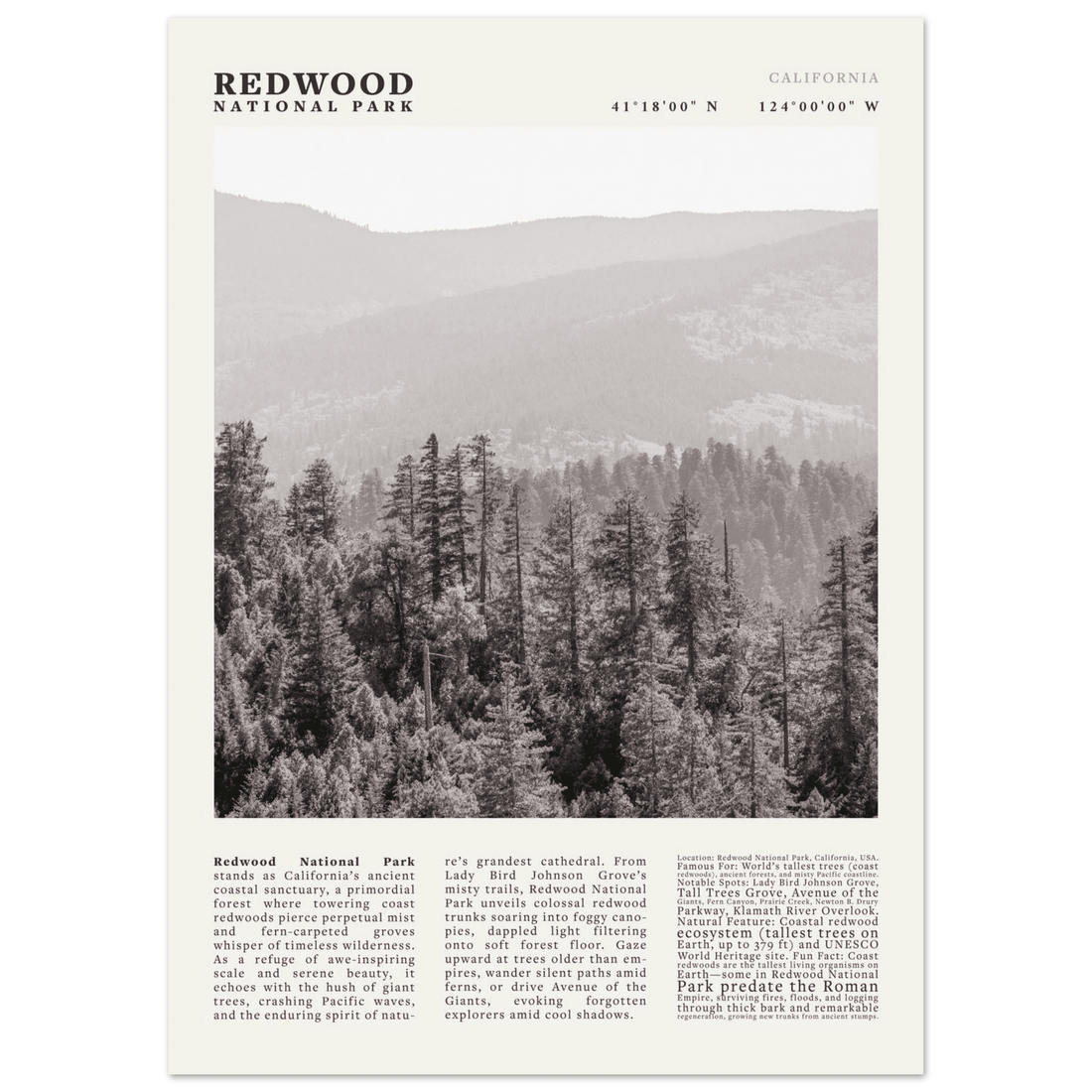 Redwood National Park Poster Black and White – Vintage Foggy Redwood Forest Print - Evergreen Posters