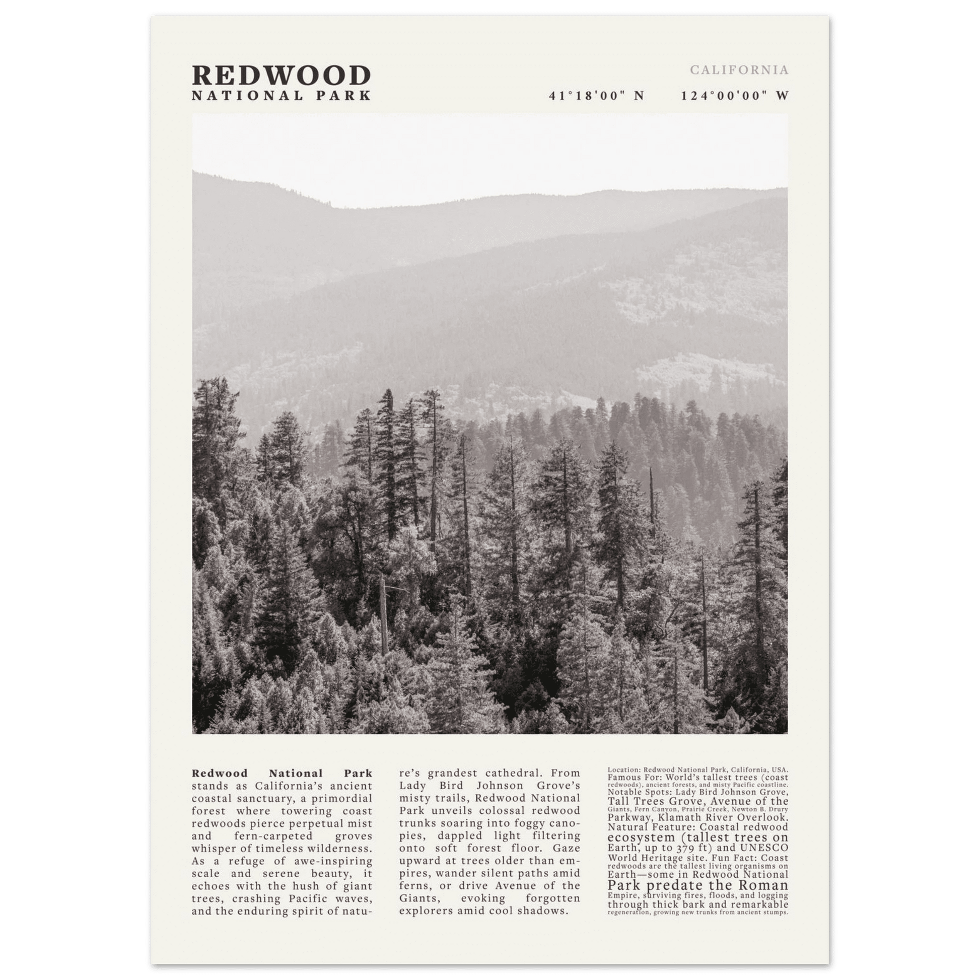 Redwood National Park Poster Black and White – Vintage Foggy Redwood Forest Print - Evergreen Posters