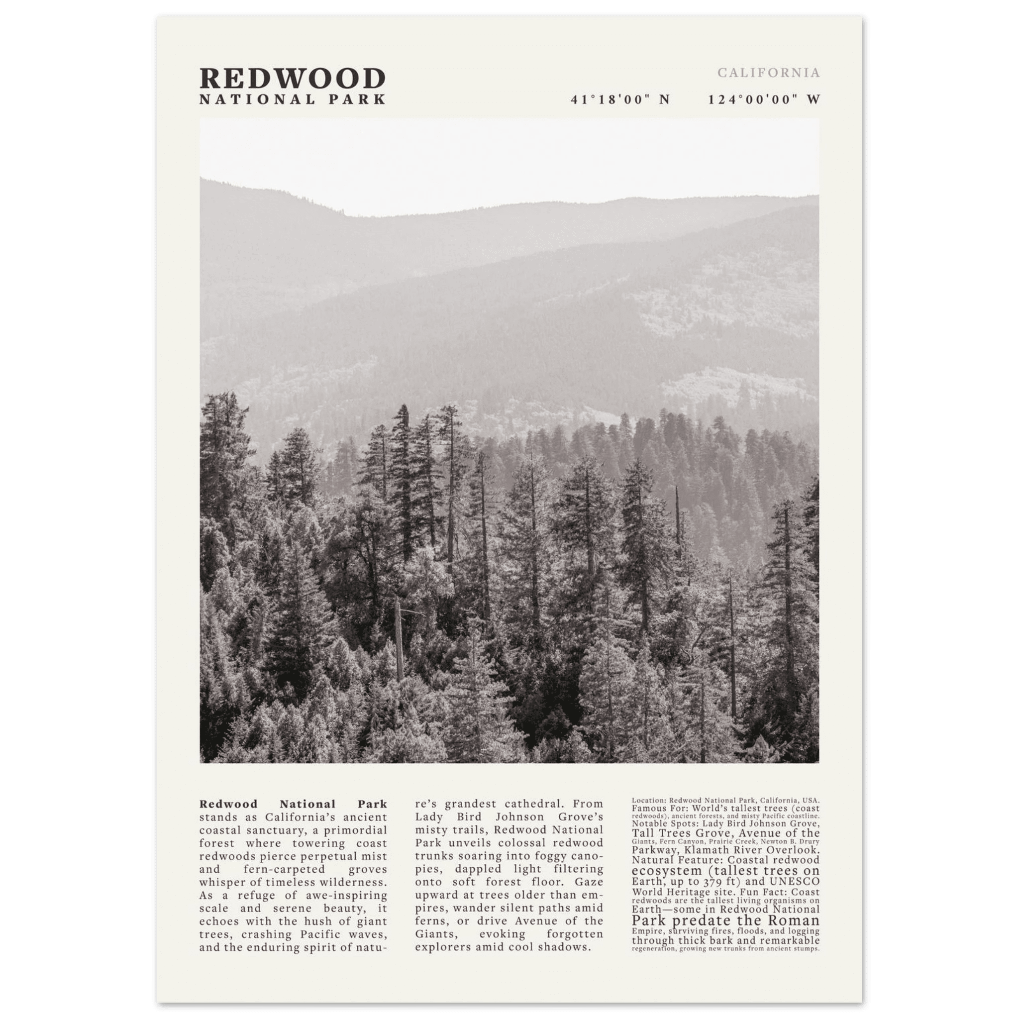 Redwood National Park Poster Black and White – Vintage Foggy Redwood Forest Print - Evergreen Posters