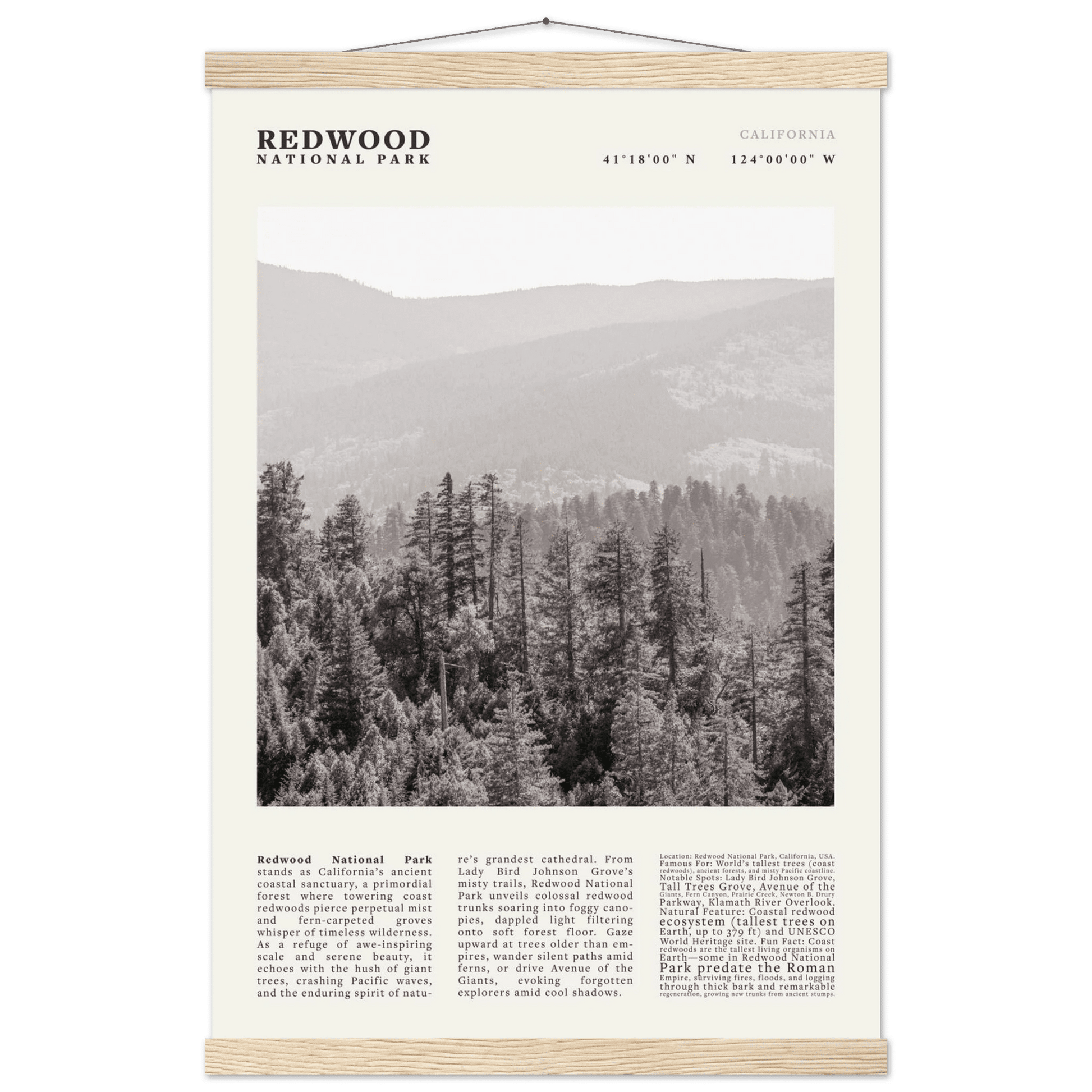 Redwood National Park Poster Black and White – Vintage Foggy Redwood Forest Print - Evergreen Posters