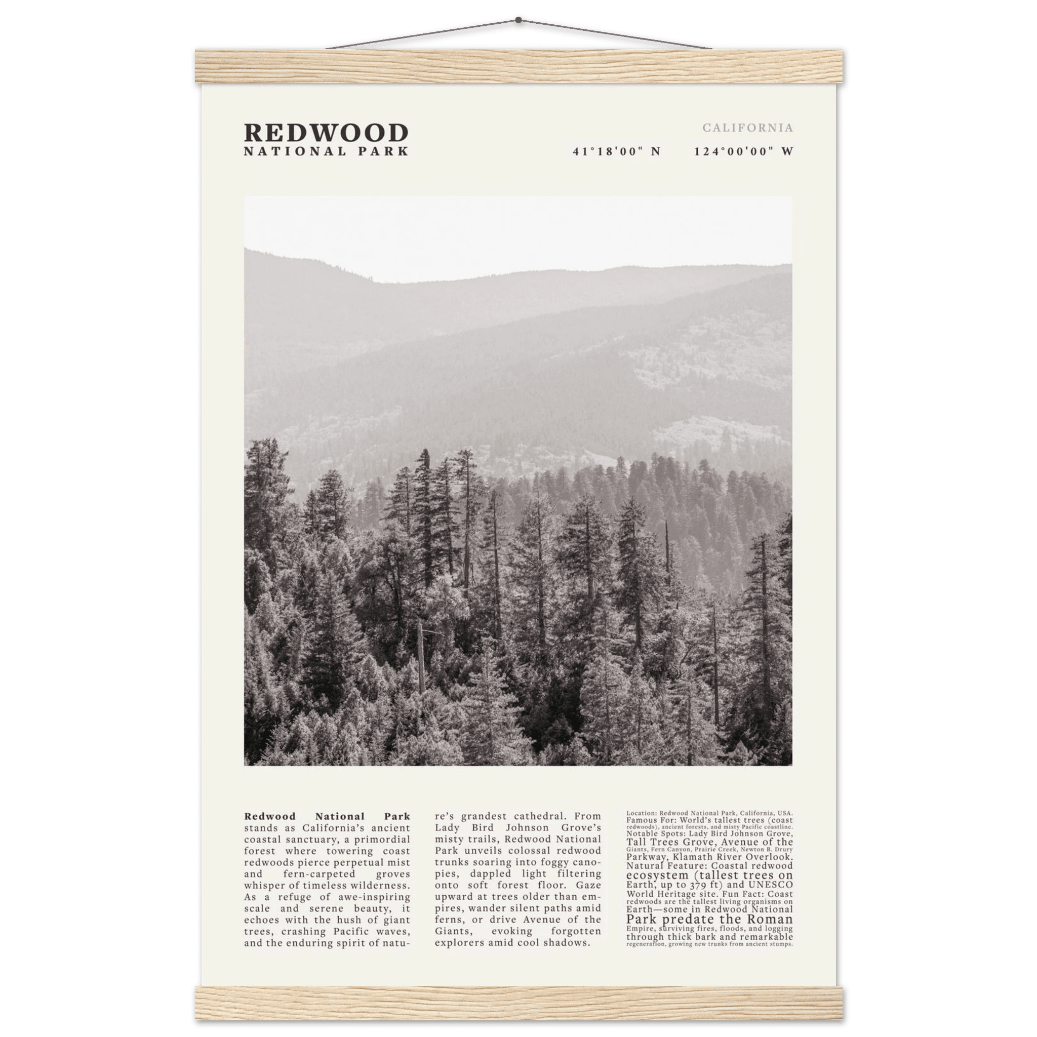 Redwood National Park Poster Black and White – Vintage Foggy Redwood Forest Print - Evergreen Posters