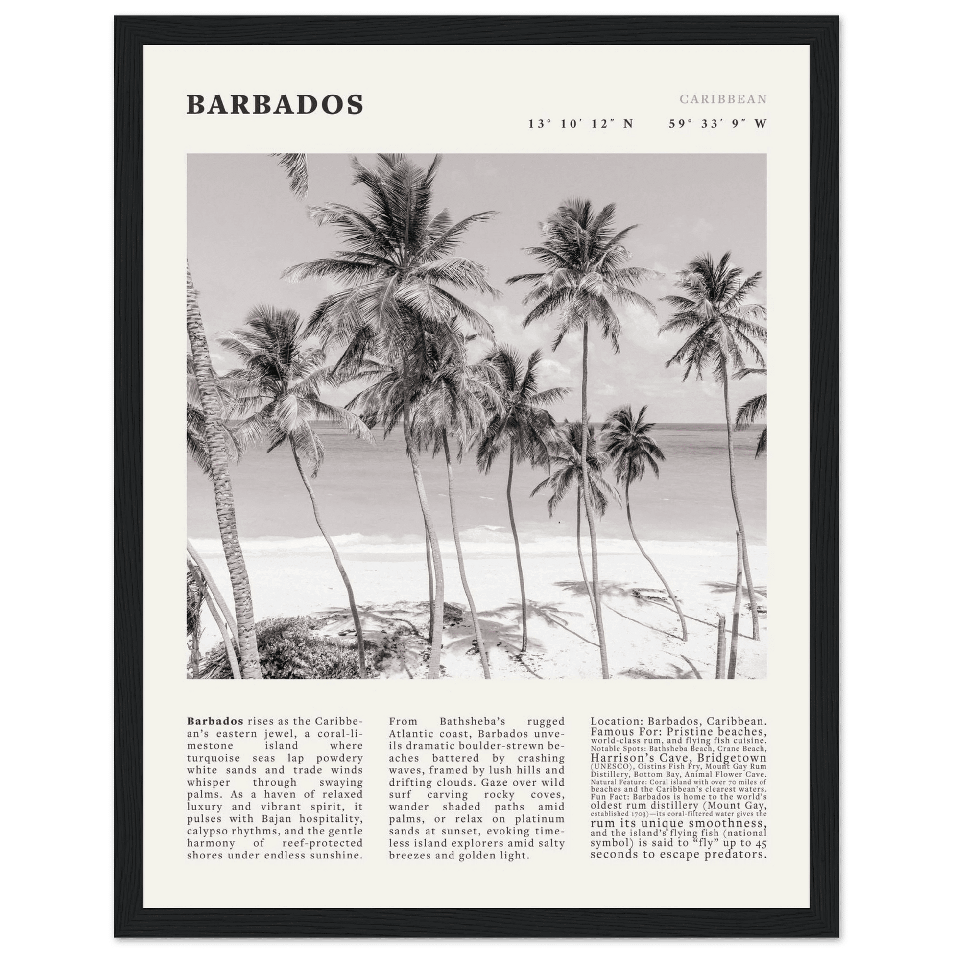 Barbados Poster Black and White – Vintage Caribbean Palm Beach Print (Digital & Printed Options) - Evergreen Posters
