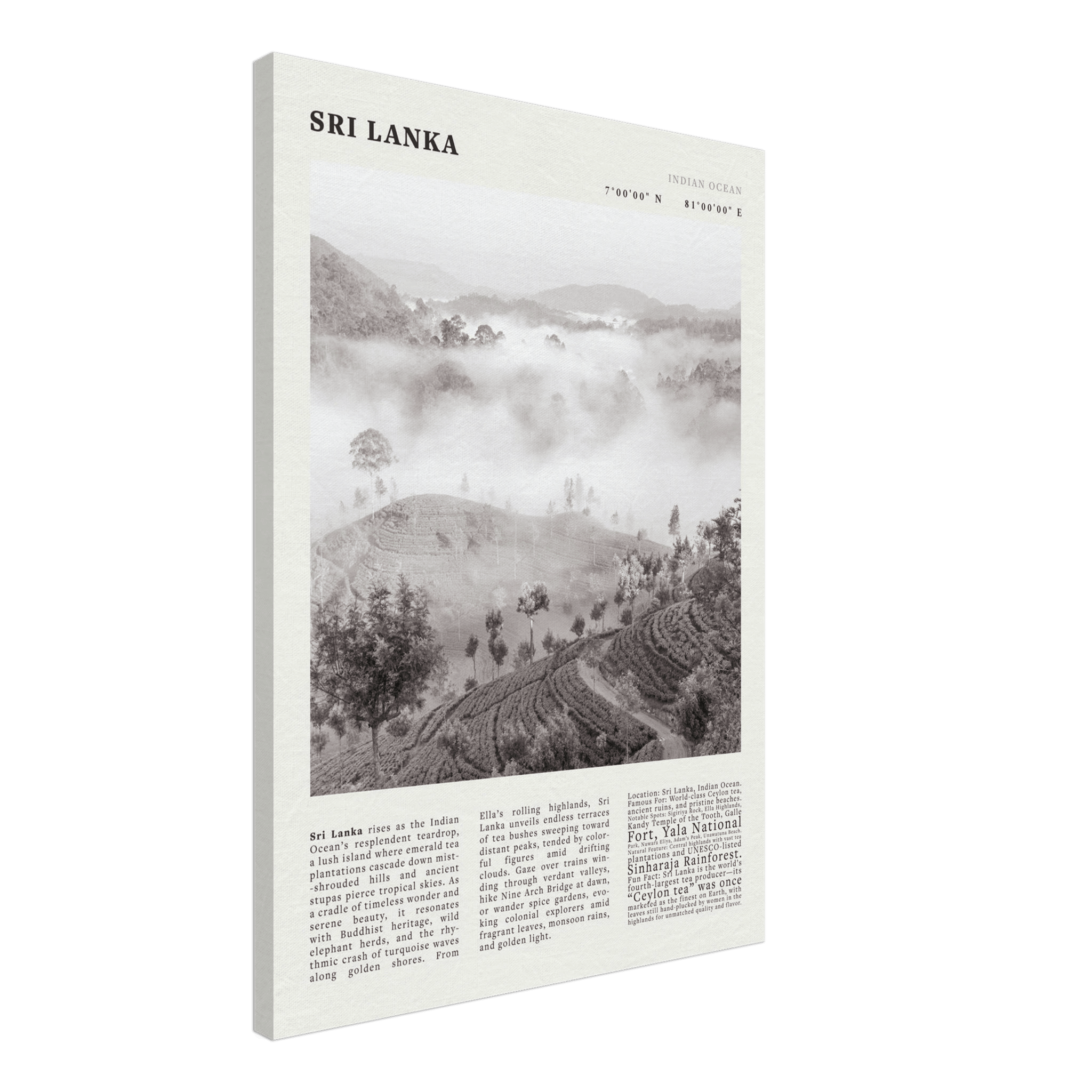 Sri Lanka Poster Black and White – Vintage Ceylon Tea Plantation Print (Digital & Printed Options) - Evergreen Posters