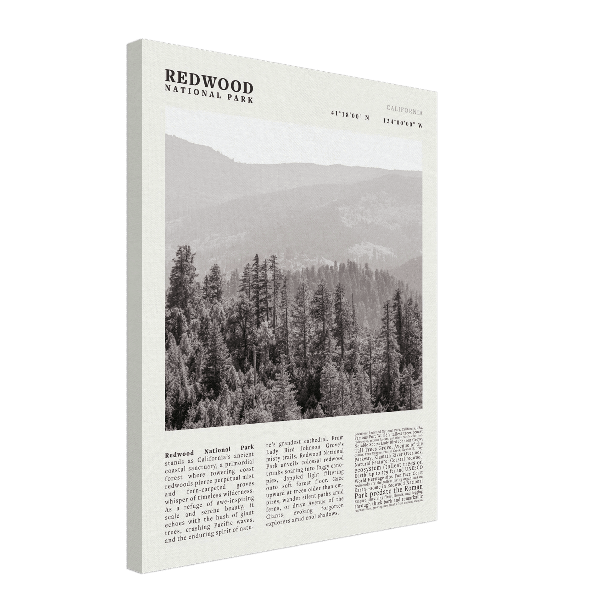 Redwood National Park Poster Black and White – Vintage Foggy Redwood Forest Print - Evergreen Posters