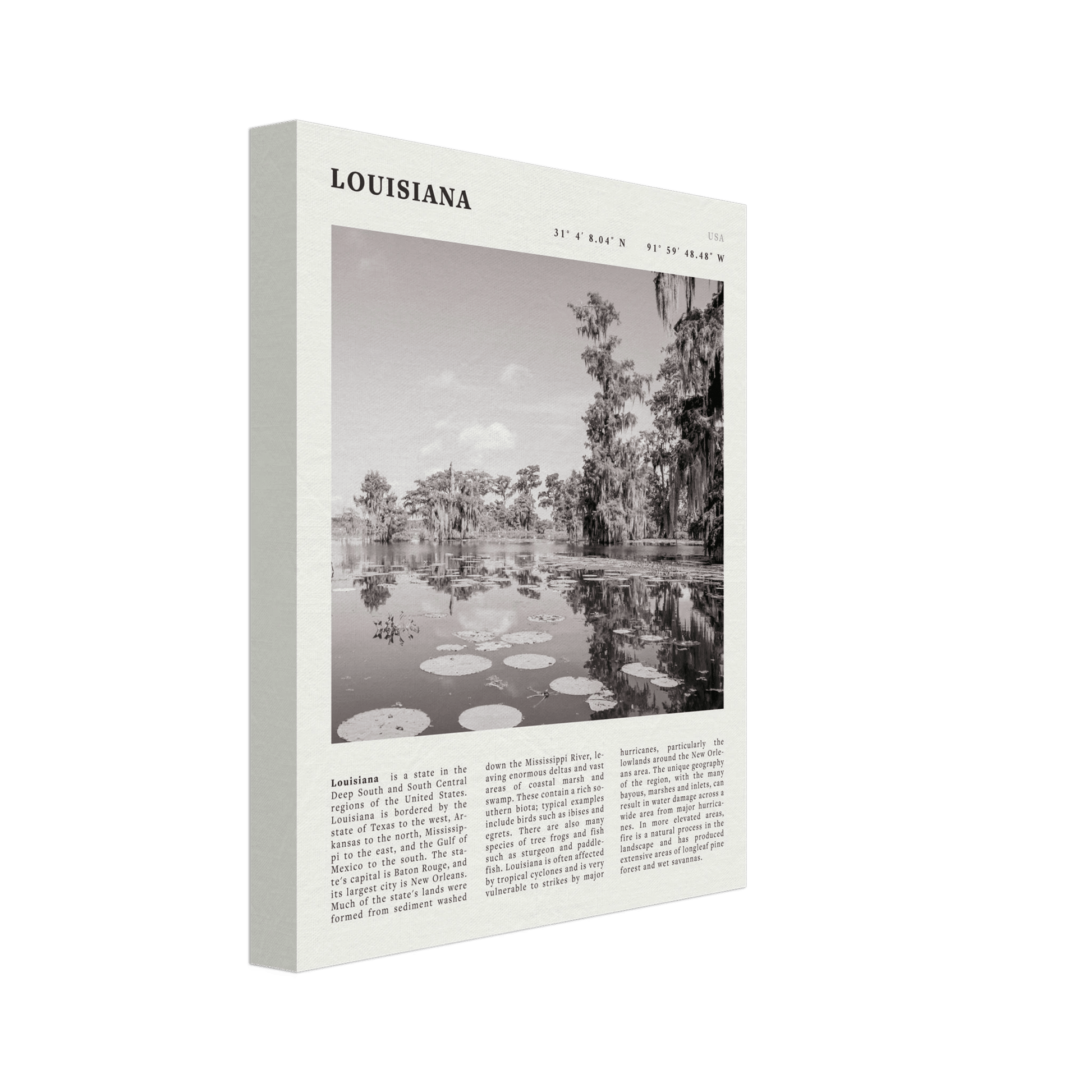 Louisiana Poster | Black & White Bayou Wall Art | Southern USA Travel Print Decor - Evergreen Posters
