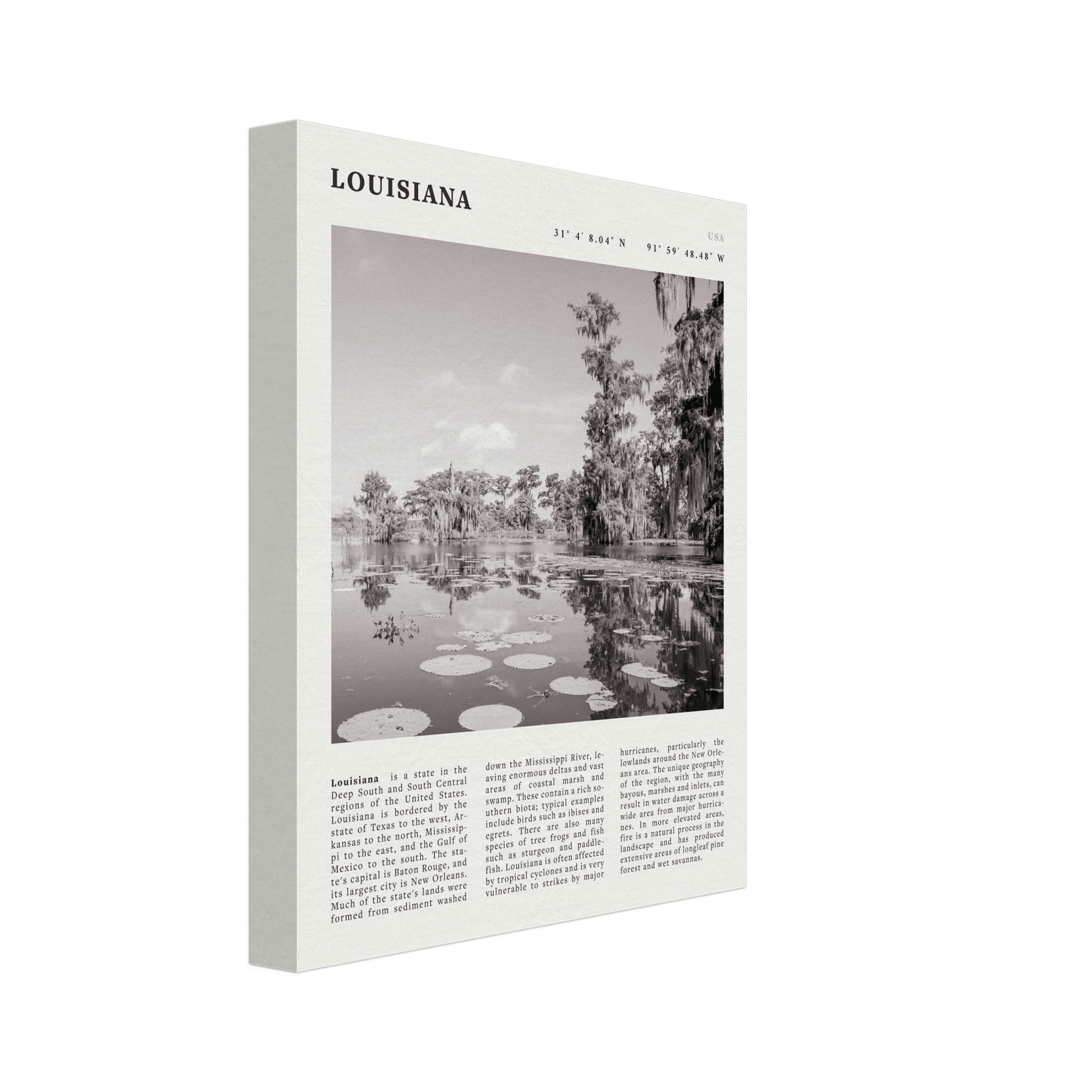 Louisiana Poster | Black & White Bayou Wall Art | Southern USA Travel Print Decor - Evergreen Posters
