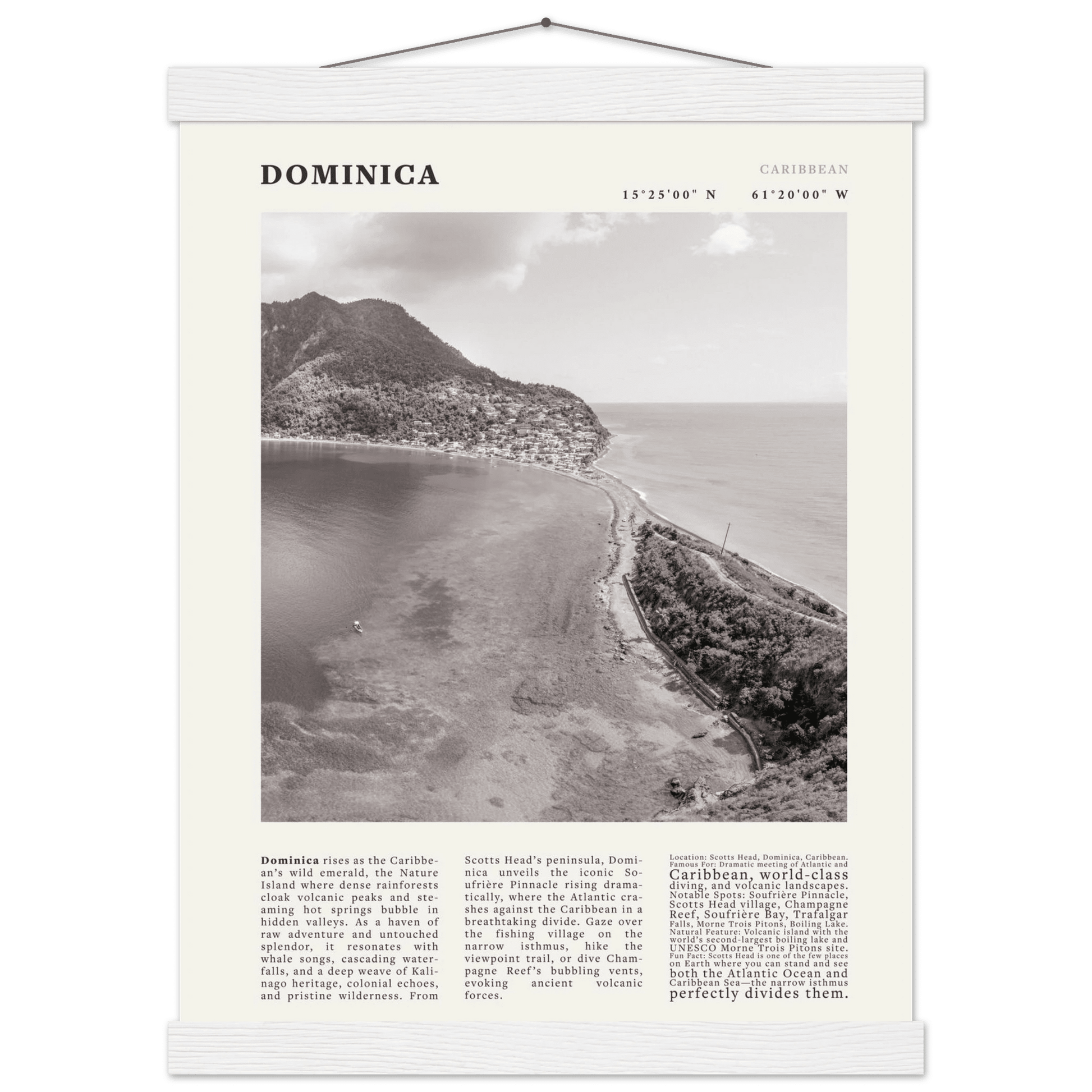 Dominica Poster Black and White – Vintage Caribbean Rainforest Island Print (Digital & Printed Options) - Evergreen Posters