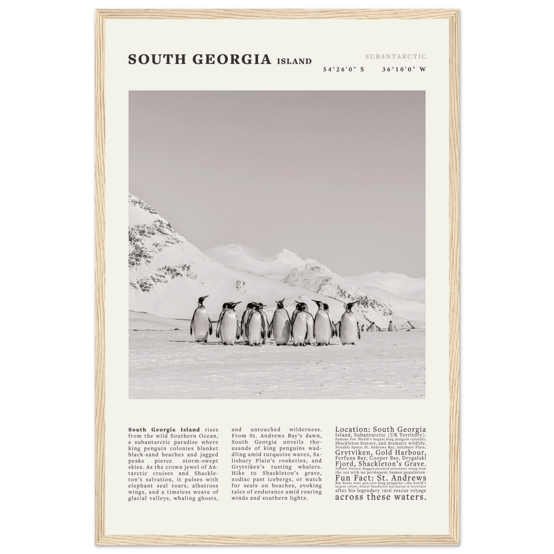 South Georgia Island Black and White Vintage Poster - Evergreen Posters