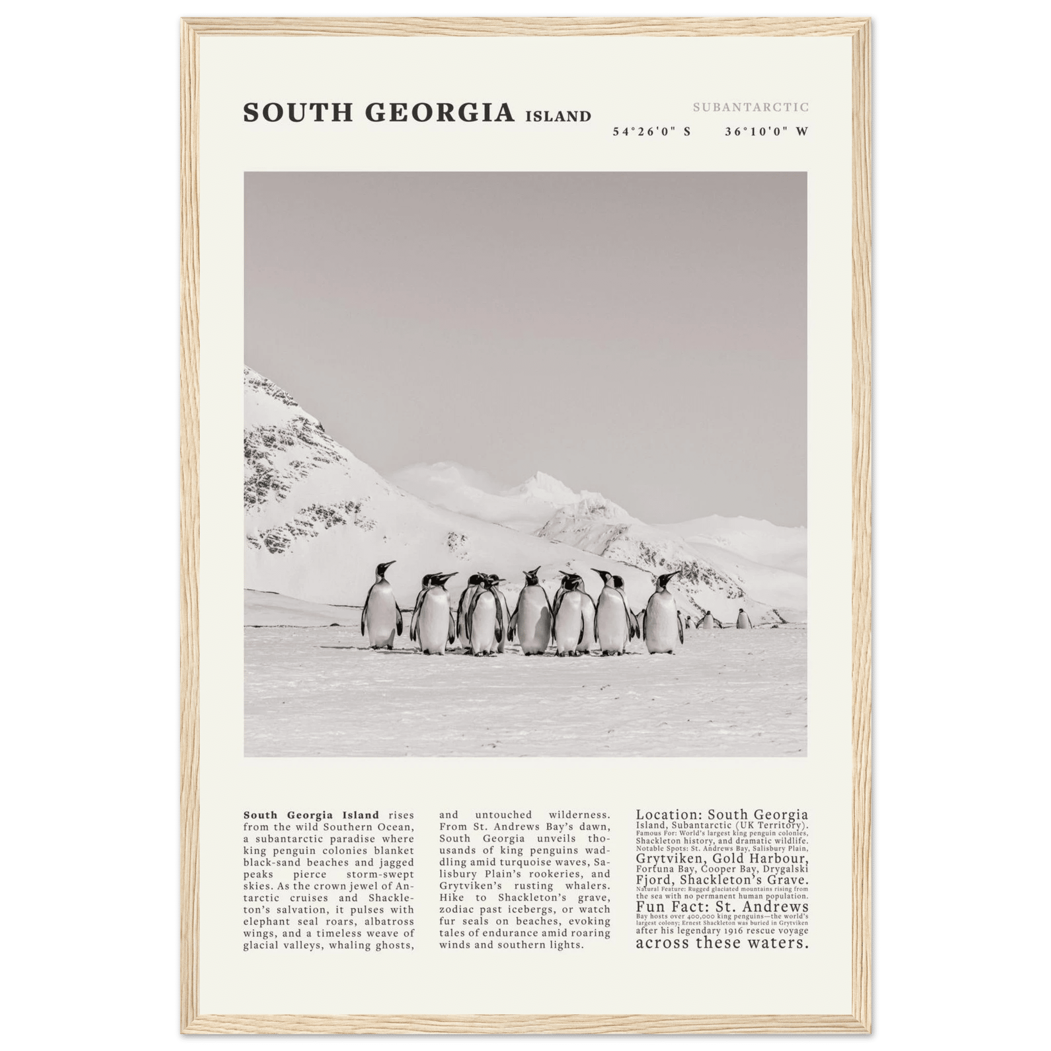 South Georgia Island Black and White Vintage Poster - Evergreen Posters