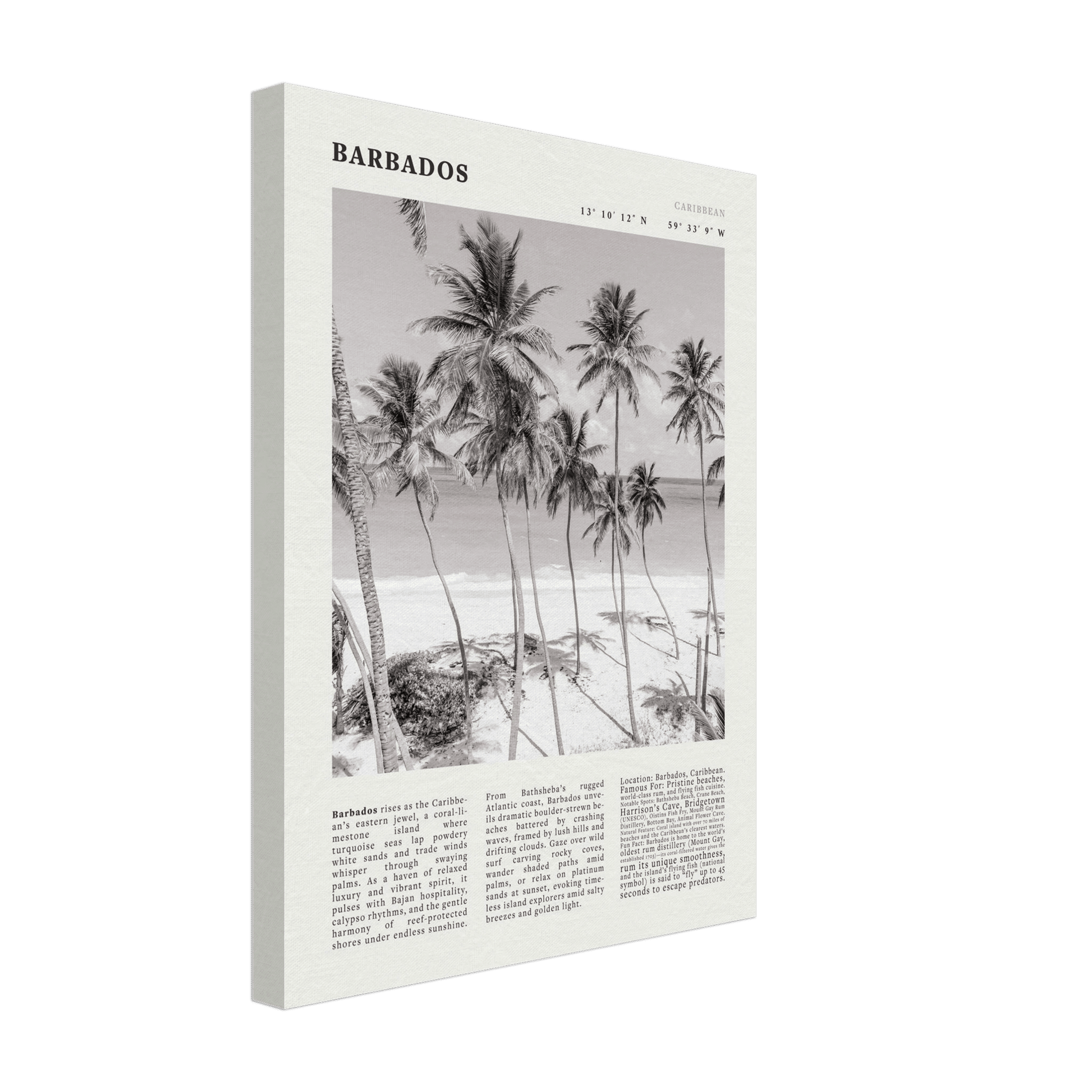 Barbados Poster Black and White – Vintage Caribbean Palm Beach Print (Digital & Printed Options) - Evergreen Posters
