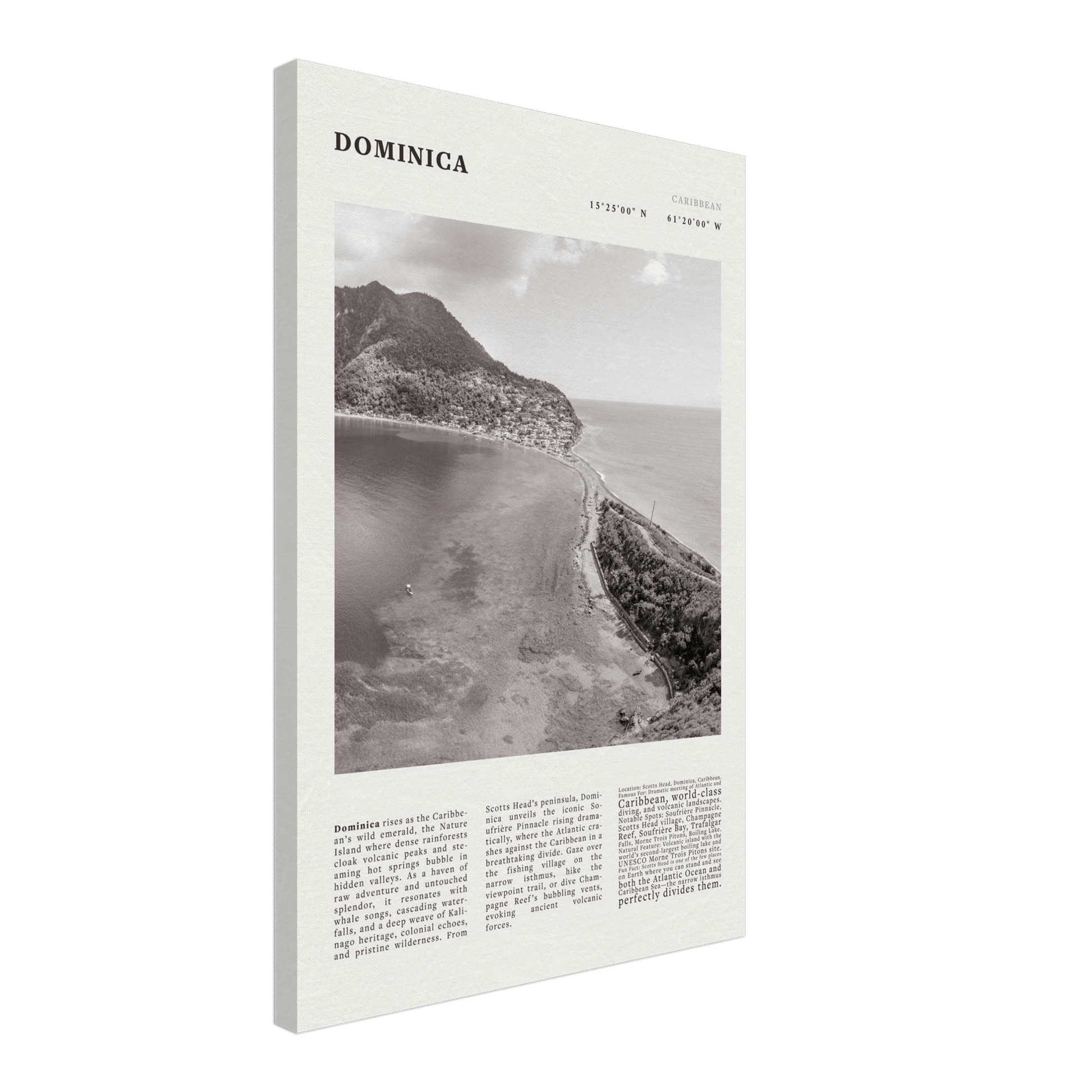 Dominica Poster Black and White – Vintage Caribbean Rainforest Island Print (Digital & Printed Options) - Evergreen Posters