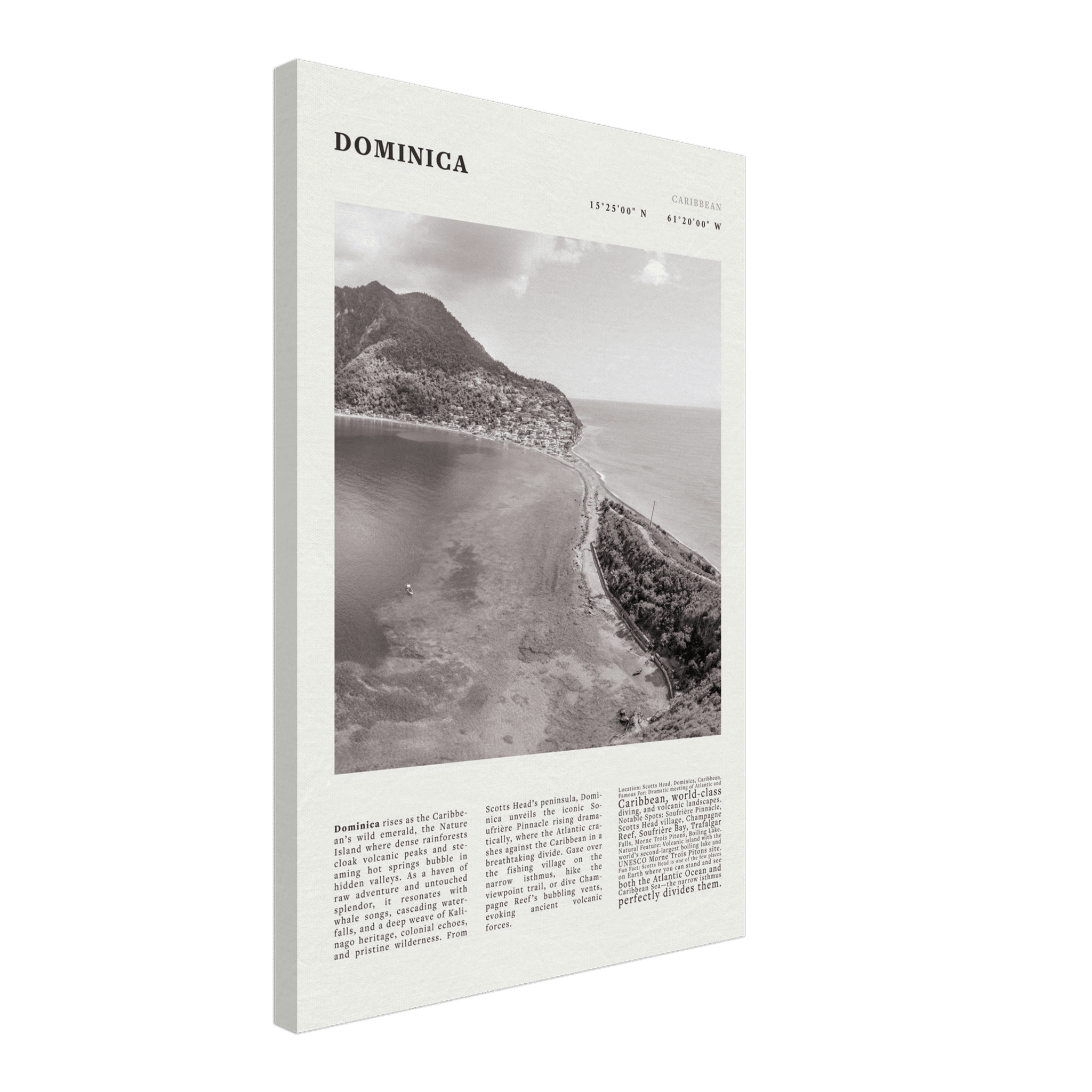 Dominica Poster Black and White – Vintage Caribbean Rainforest Island Print (Digital & Printed Options) - Evergreen Posters