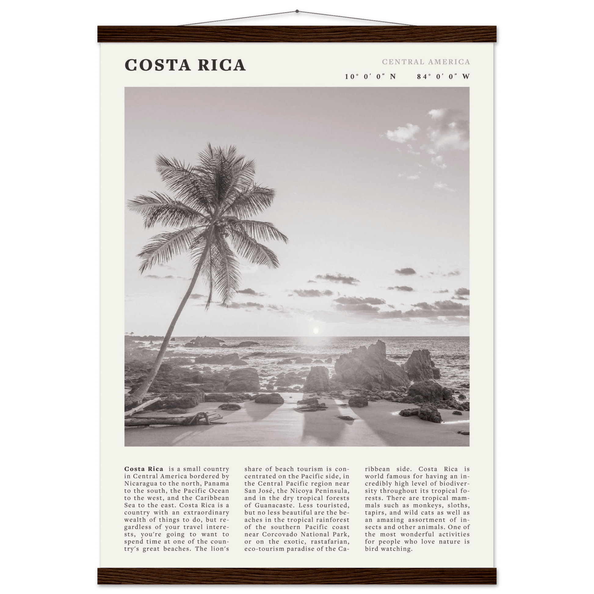 Costa Rica Poster | Black & White Palm Tree Beach Wall Art | Travel Print Decor - Evergreen Posters