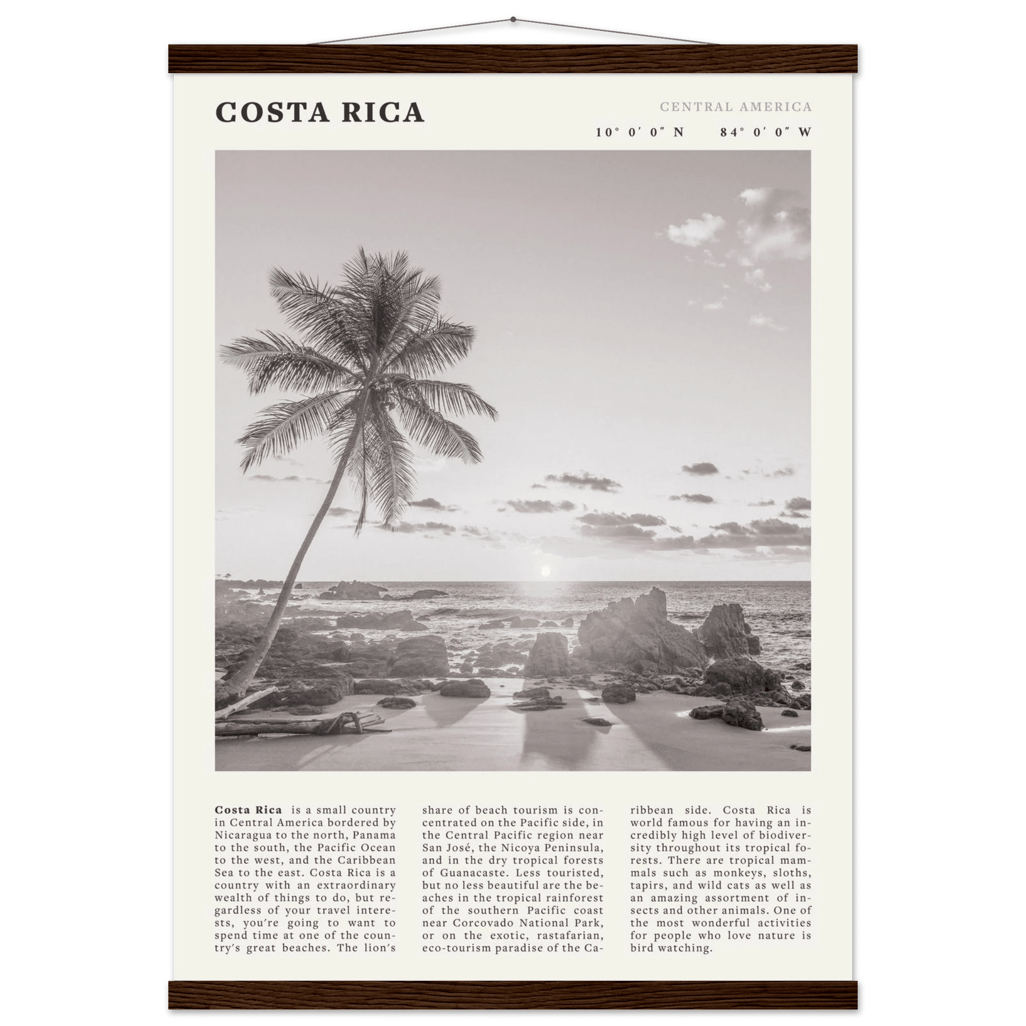 Costa Rica Poster | Black & White Palm Tree Beach Wall Art | Travel Print Decor - Evergreen Posters