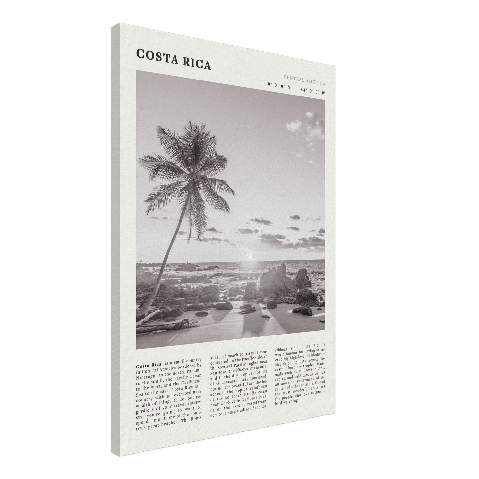 Costa Rica Poster | Black & White Palm Tree Beach Wall Art | Travel Print Decor - Evergreen Posters