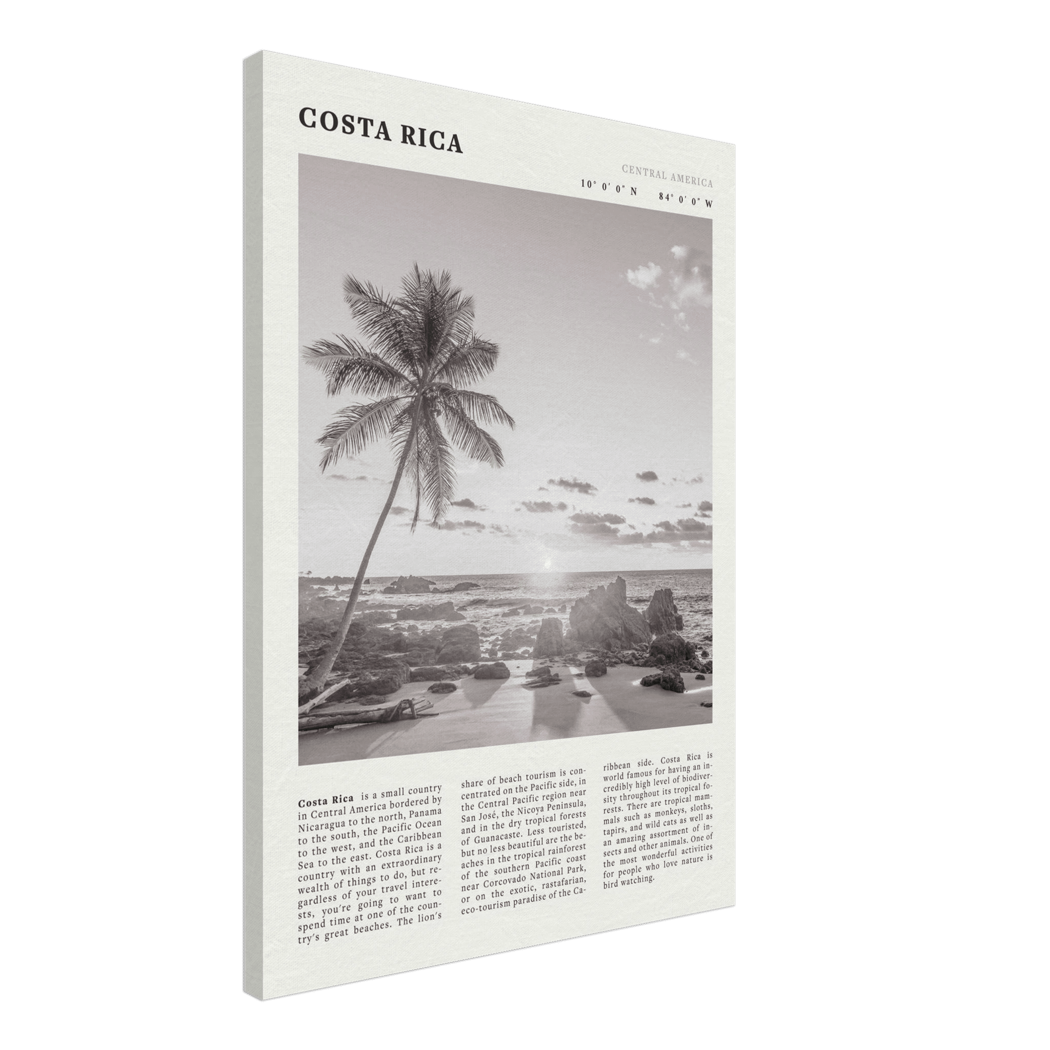 Costa Rica Poster | Black & White Palm Tree Beach Wall Art | Travel Print Decor - Evergreen Posters