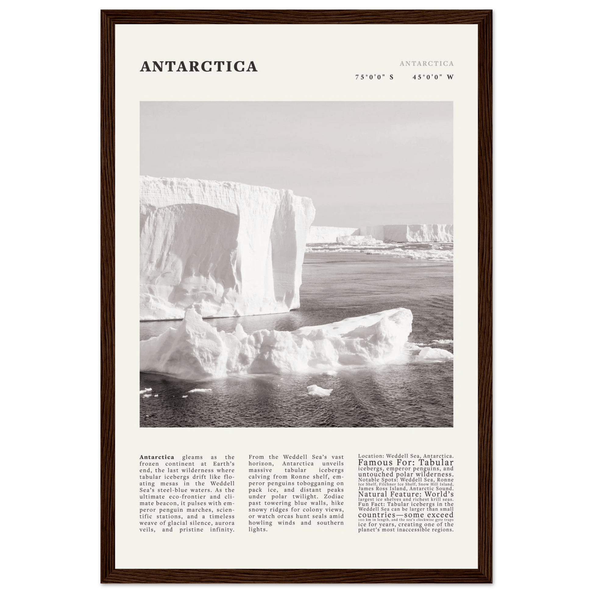 Antarctica Poster Black and White – Vintage Weddell Sea Iceberg Print (Digital & Printed Options) - Evergreen Posters