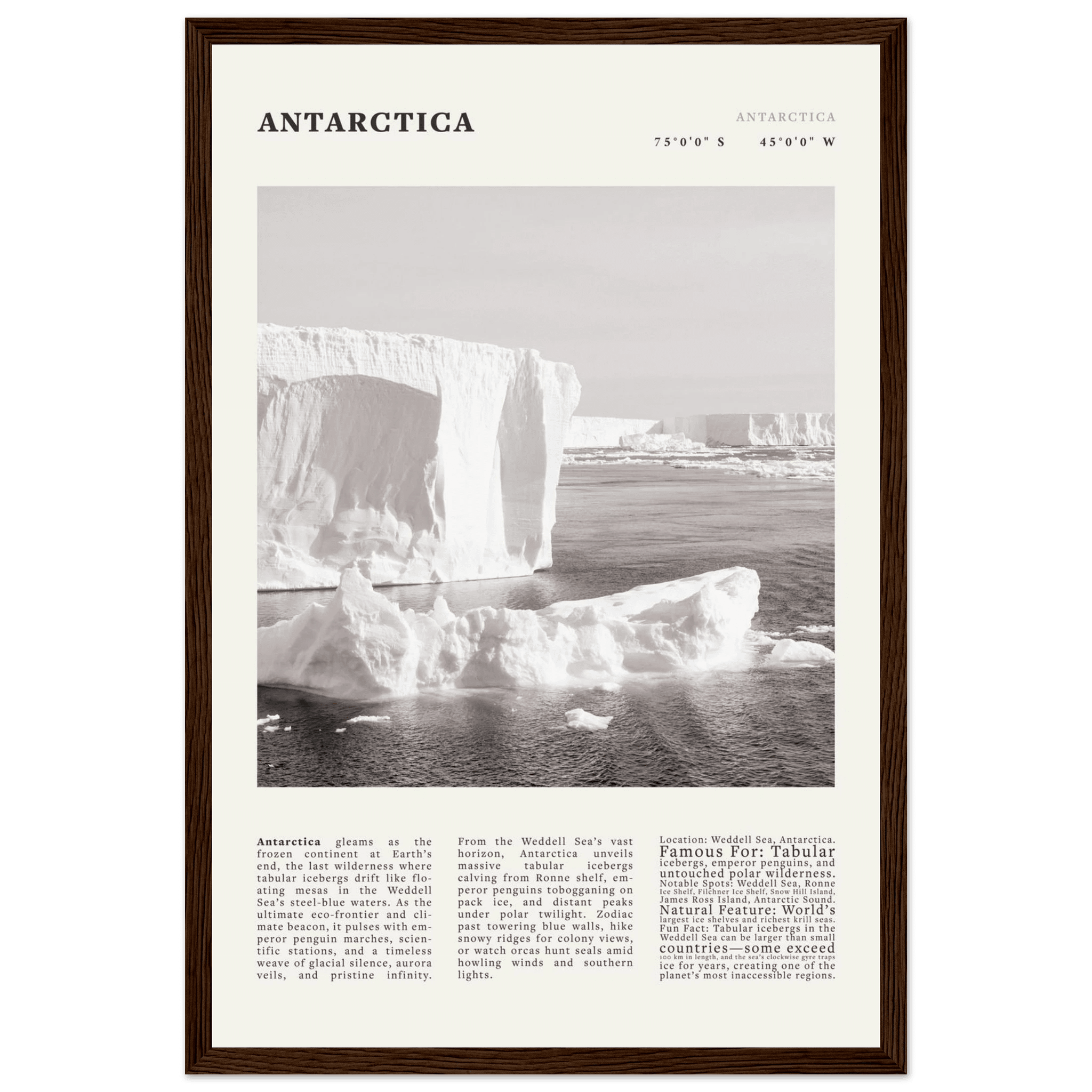 Antarctica Poster Black and White – Vintage Weddell Sea Iceberg Print (Digital & Printed Options) - Evergreen Posters