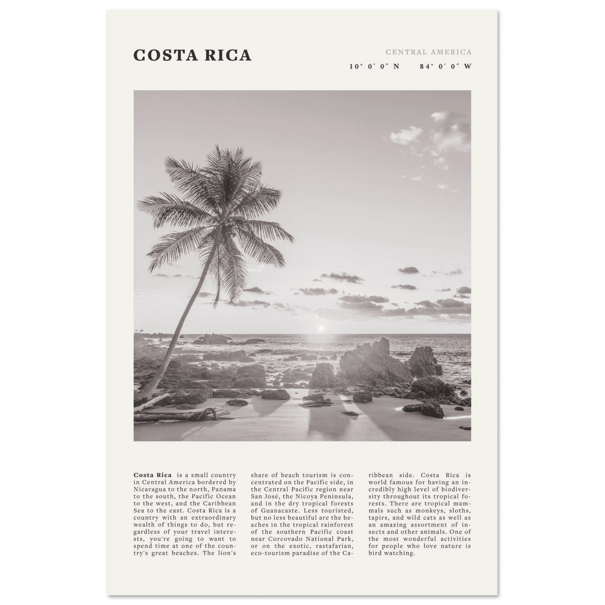 Costa Rica Poster | Black & White Palm Tree Beach Wall Art | Travel Print Decor - Evergreen Posters