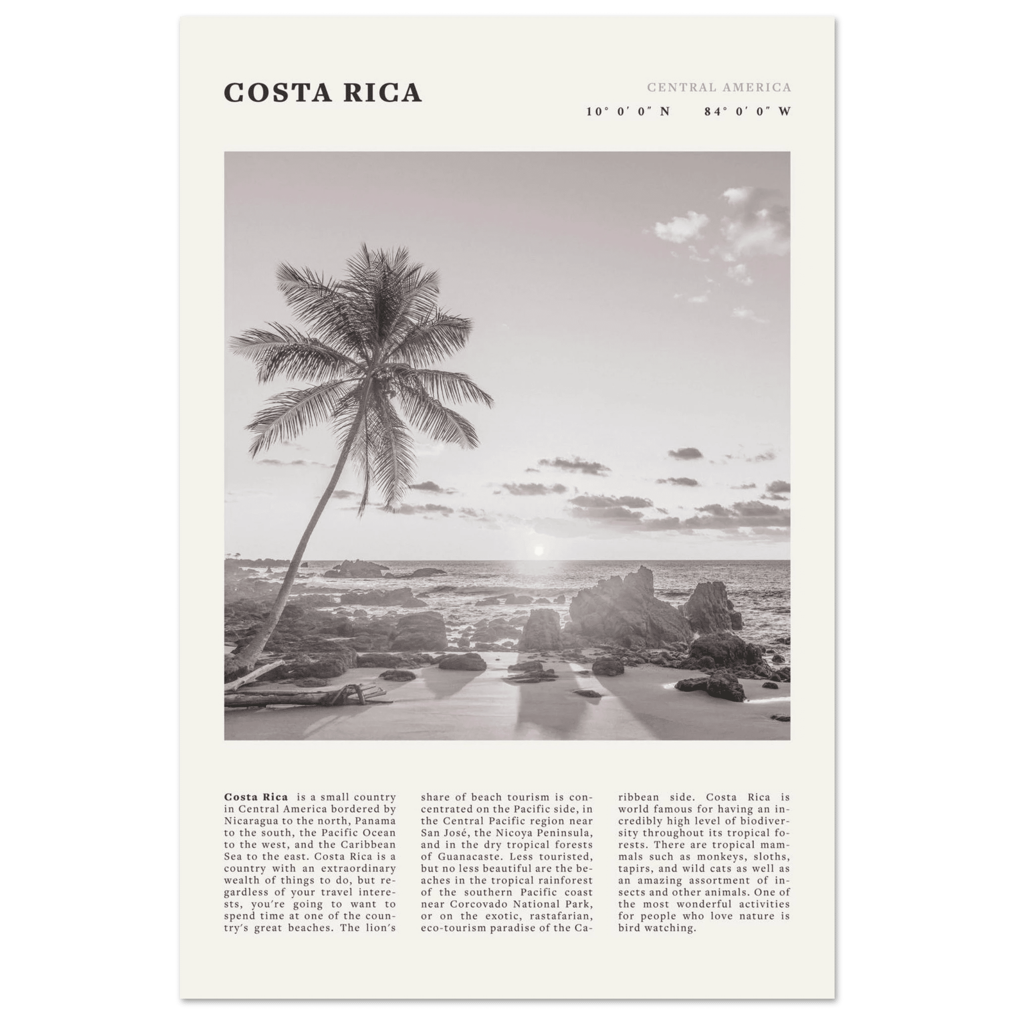 Costa Rica Poster | Black & White Palm Tree Beach Wall Art | Travel Print Decor - Evergreen Posters
