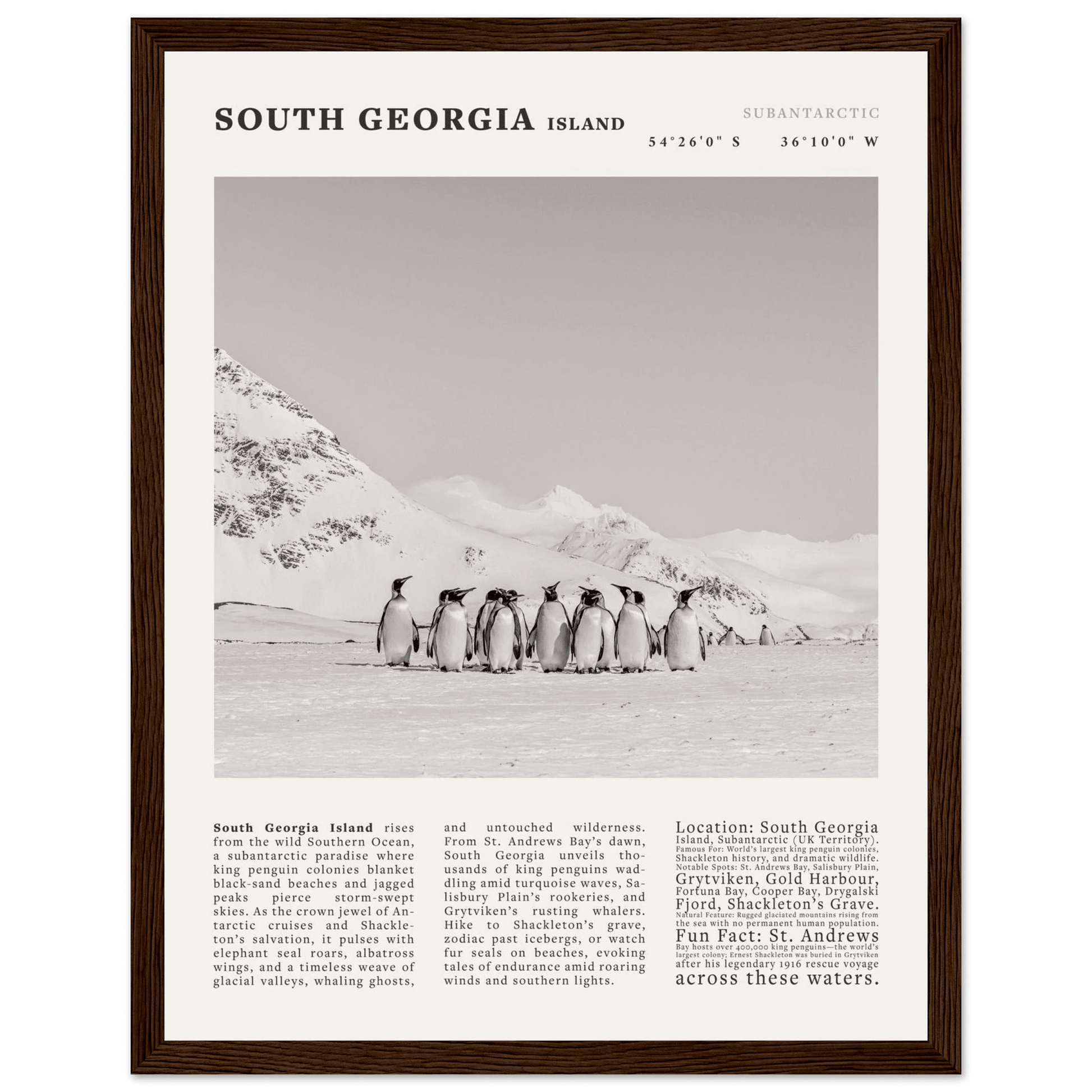 South Georgia Island Black and White Vintage Poster - Evergreen Posters