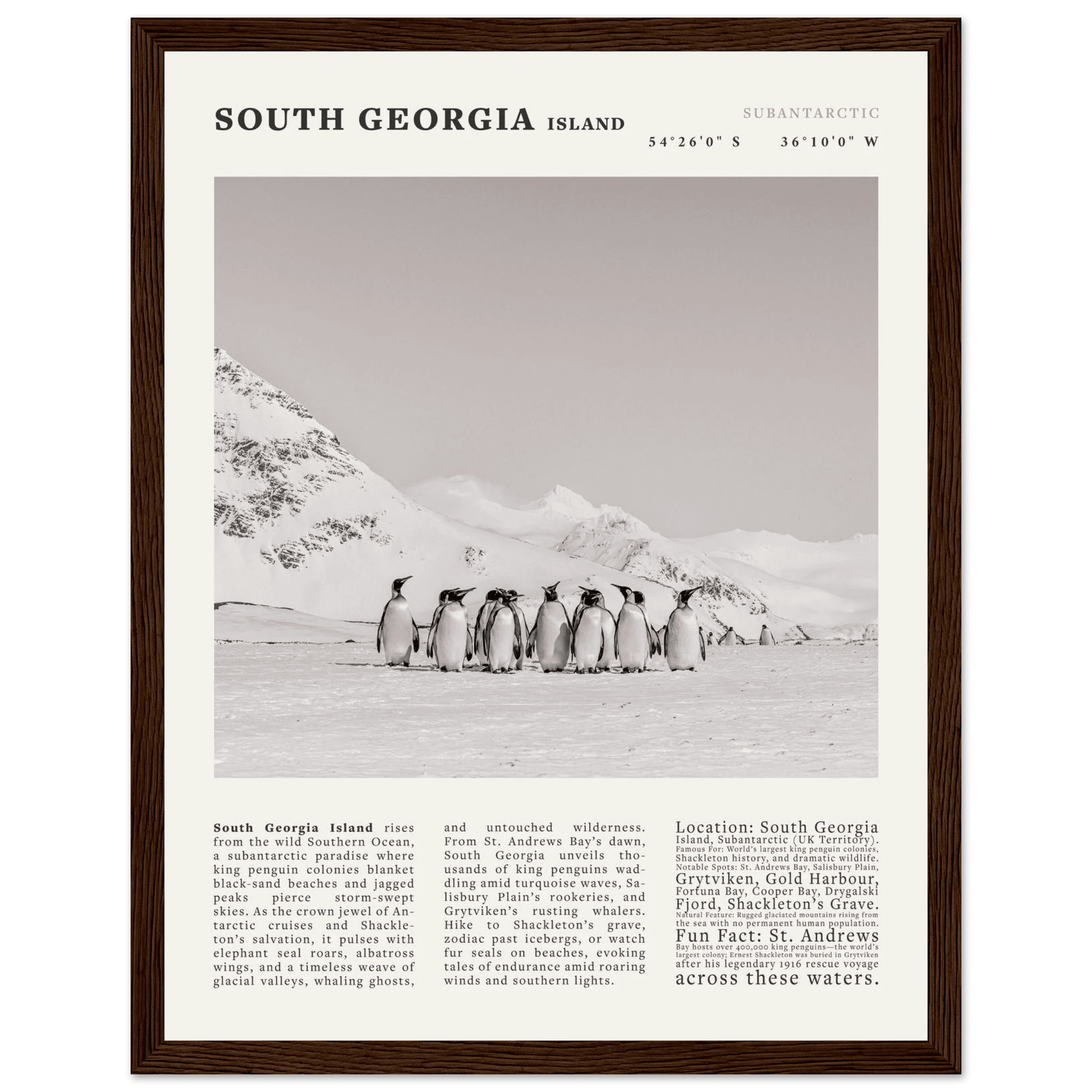 South Georgia Island Black and White Vintage Poster - Evergreen Posters
