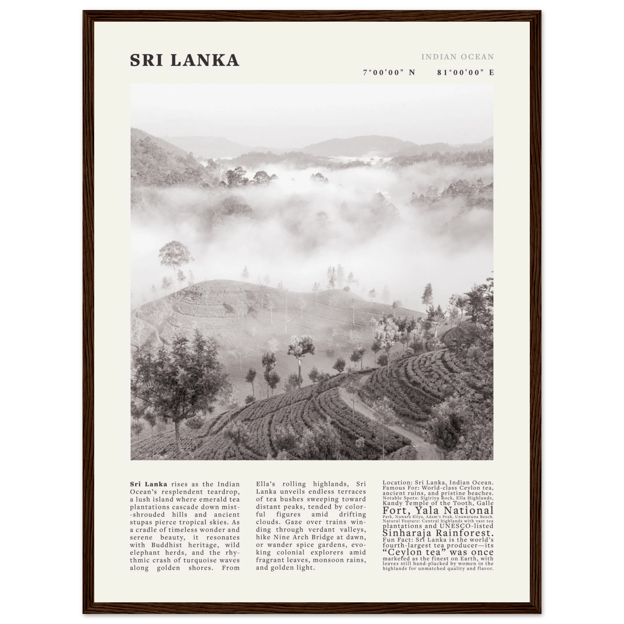 Sri Lanka Poster Black and White – Vintage Ceylon Tea Plantation Print (Digital & Printed Options) - Evergreen Posters